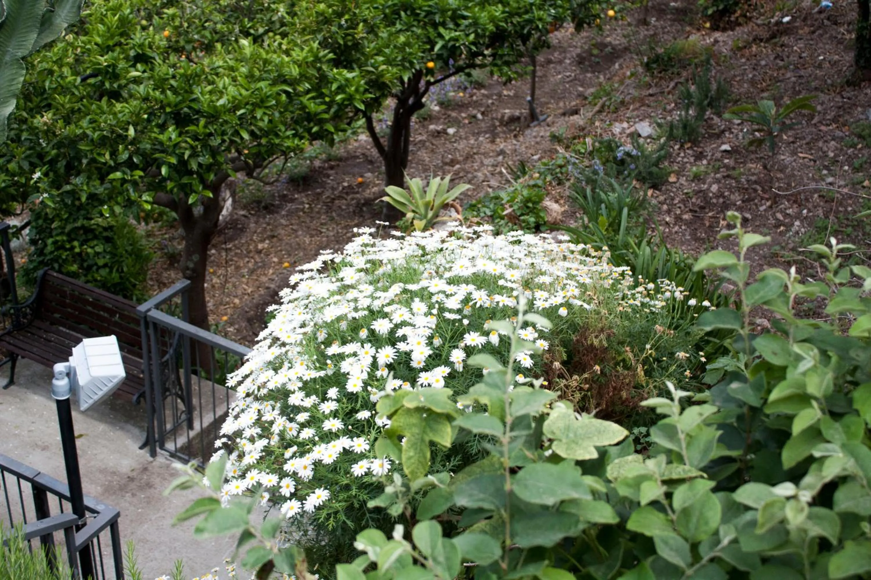 Spring in Grand Hotel Miramare