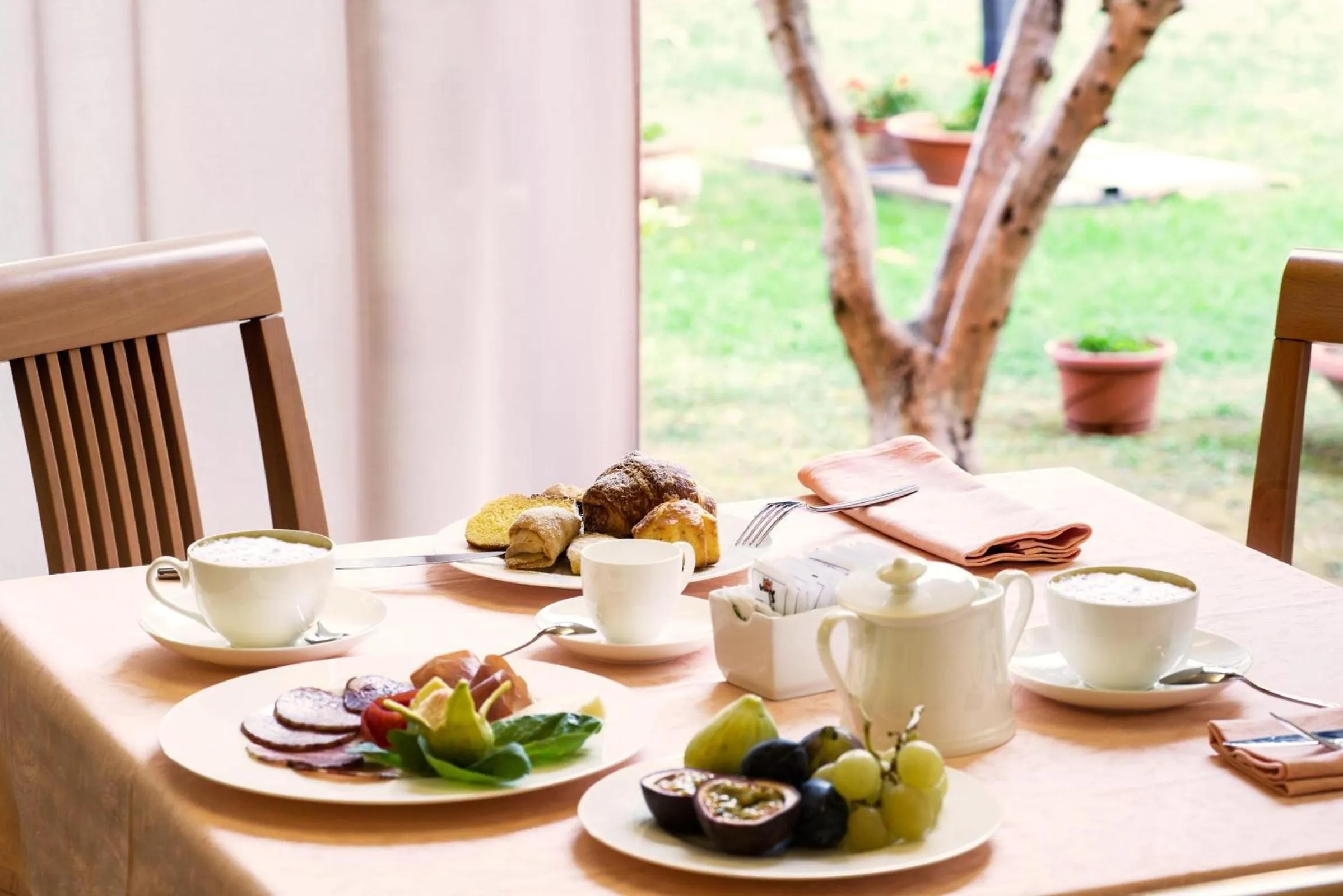 Garden in Hotel Torresi