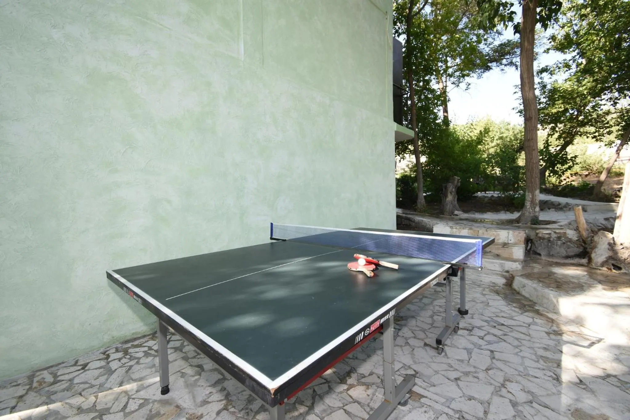 Table tennis in Forest Hills