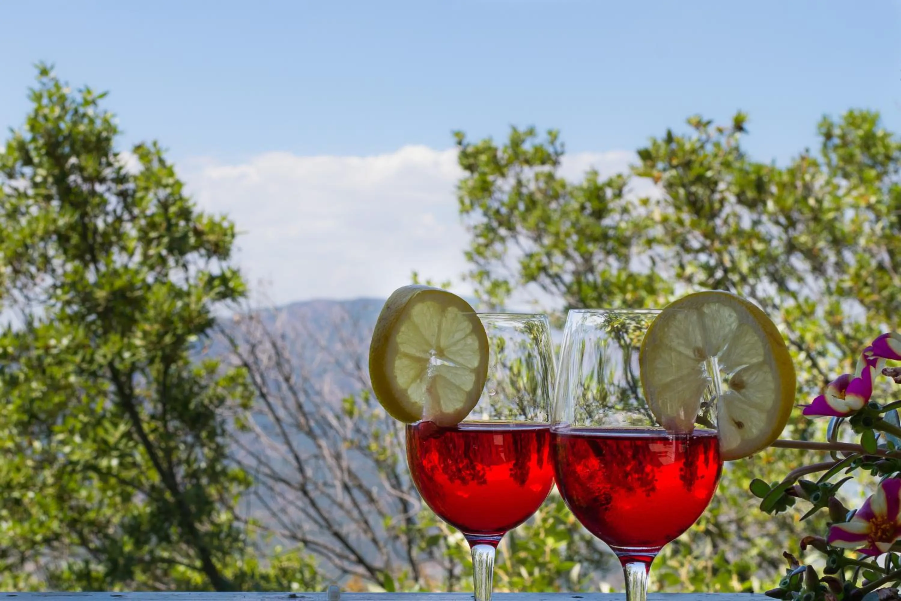 Lounge or bar in S'Enis Monte Maccione