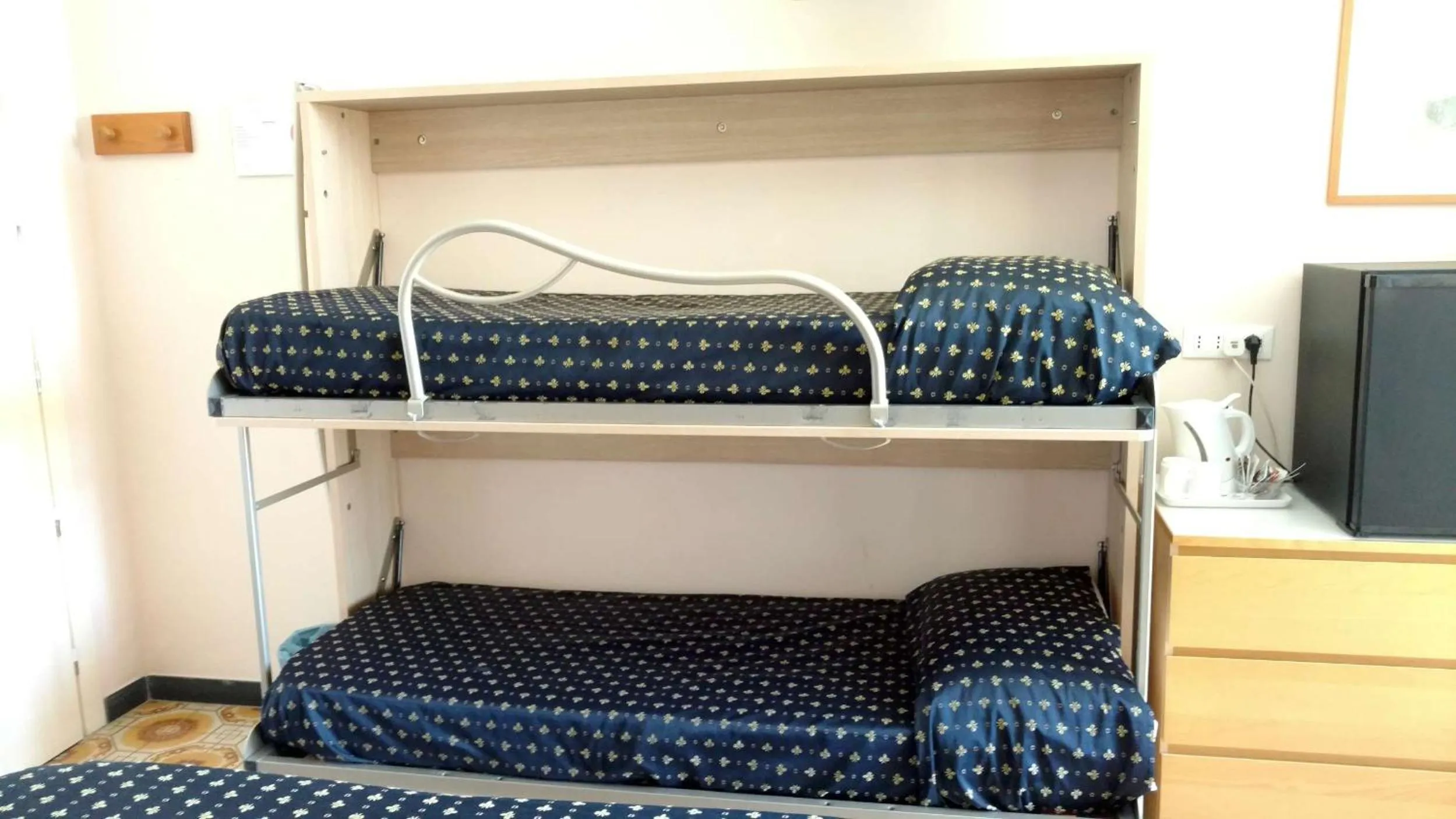 Photo of the whole room in Hotel Delle Mimose