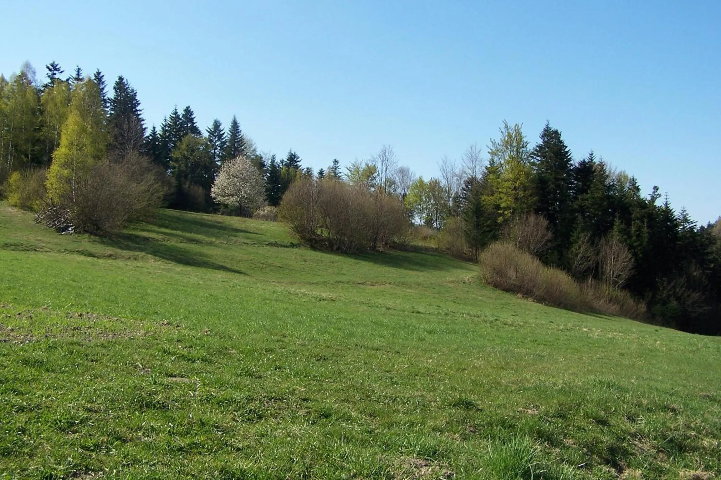 Hiking in Hotel Monttis