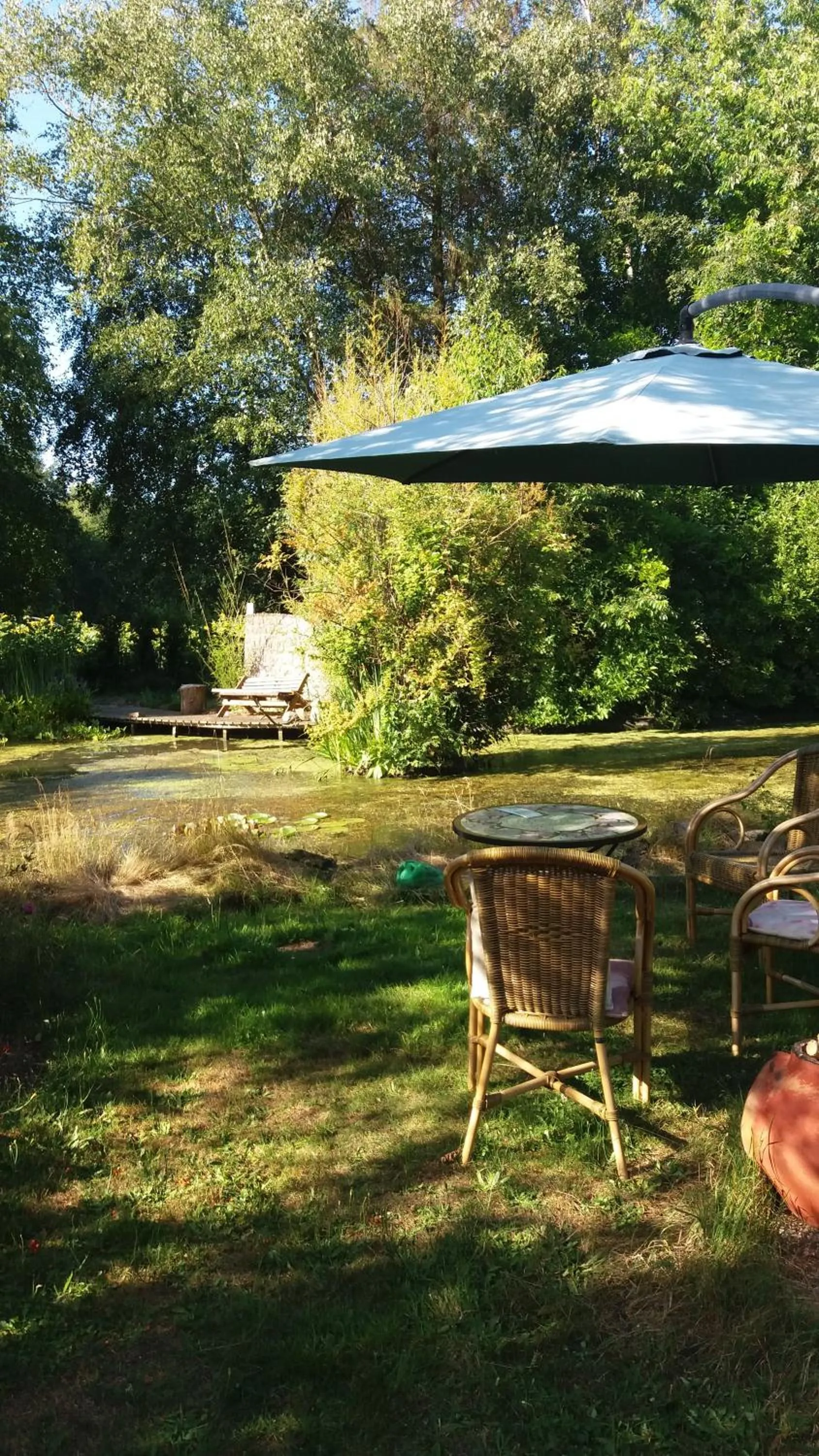 Garden in De Geheime Tuin - Huisje in 't Groen