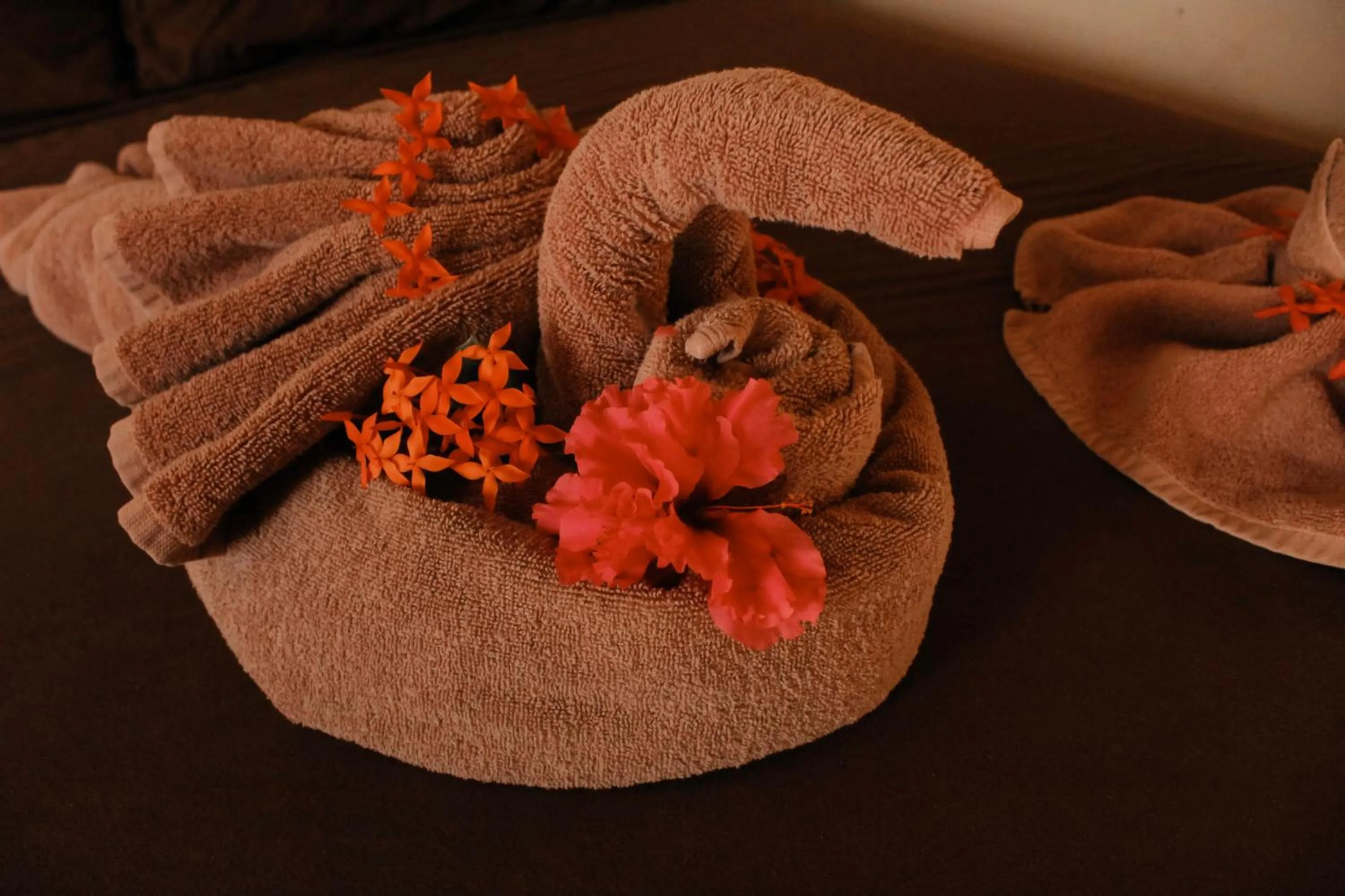 Bed in Tropical Paradise