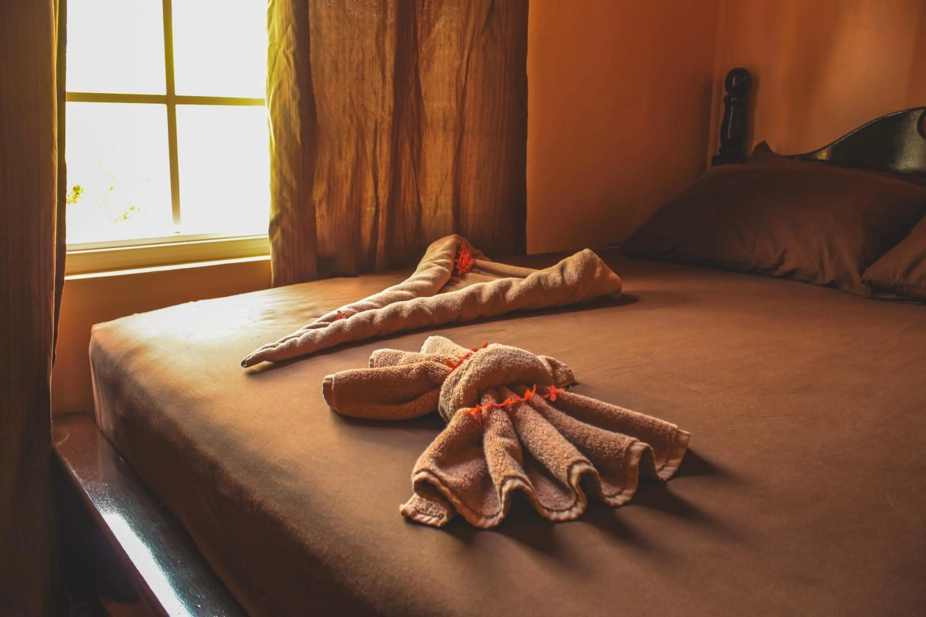 Bed in Tropical Paradise