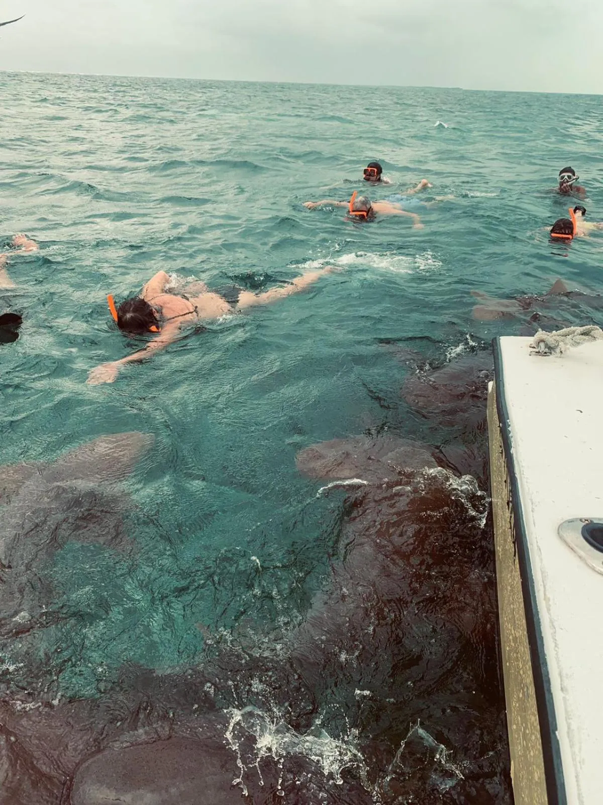 Activities in Tropical Paradise