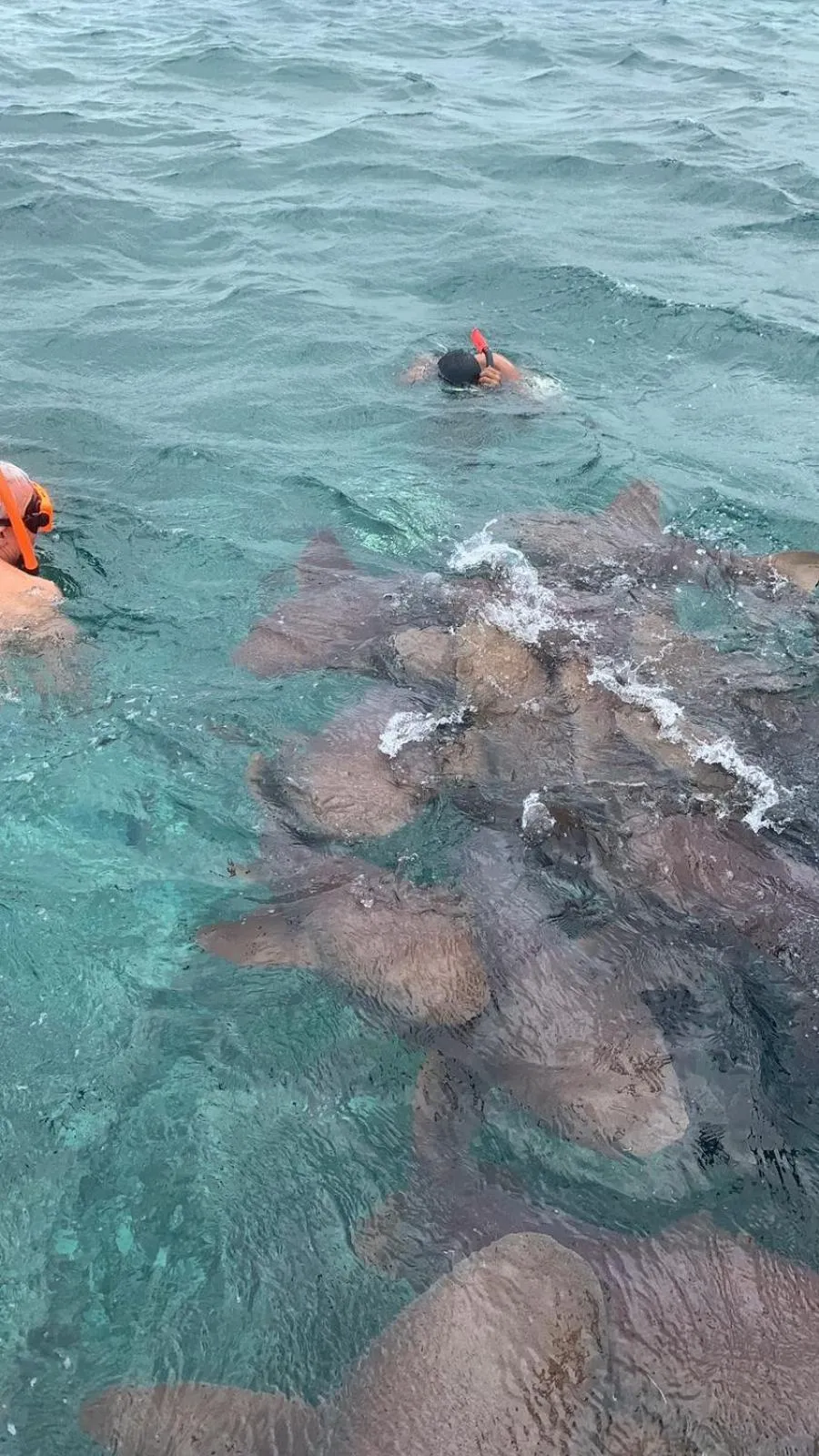 Activities in Tropical Paradise