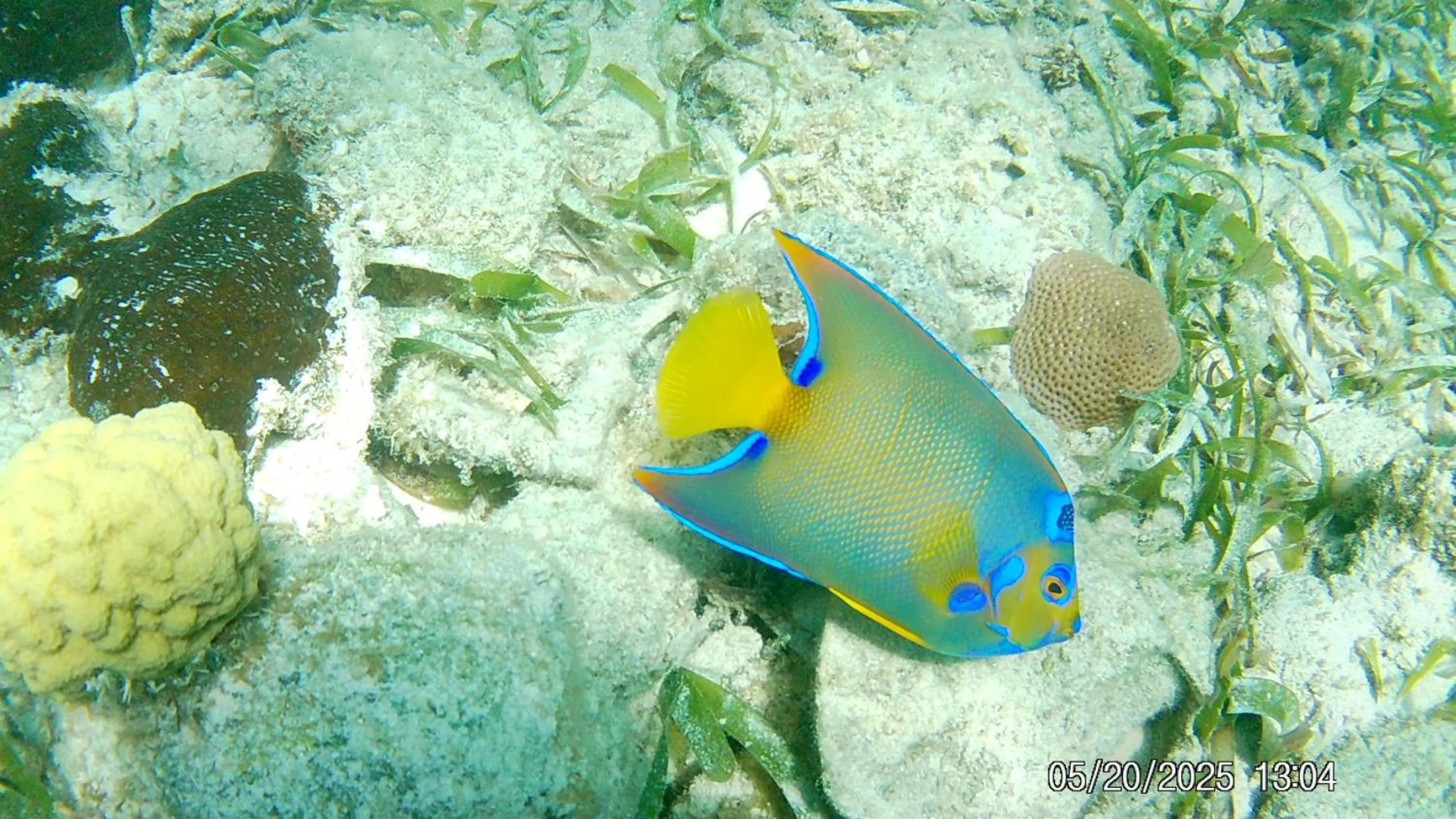 Activities in Tropical Paradise