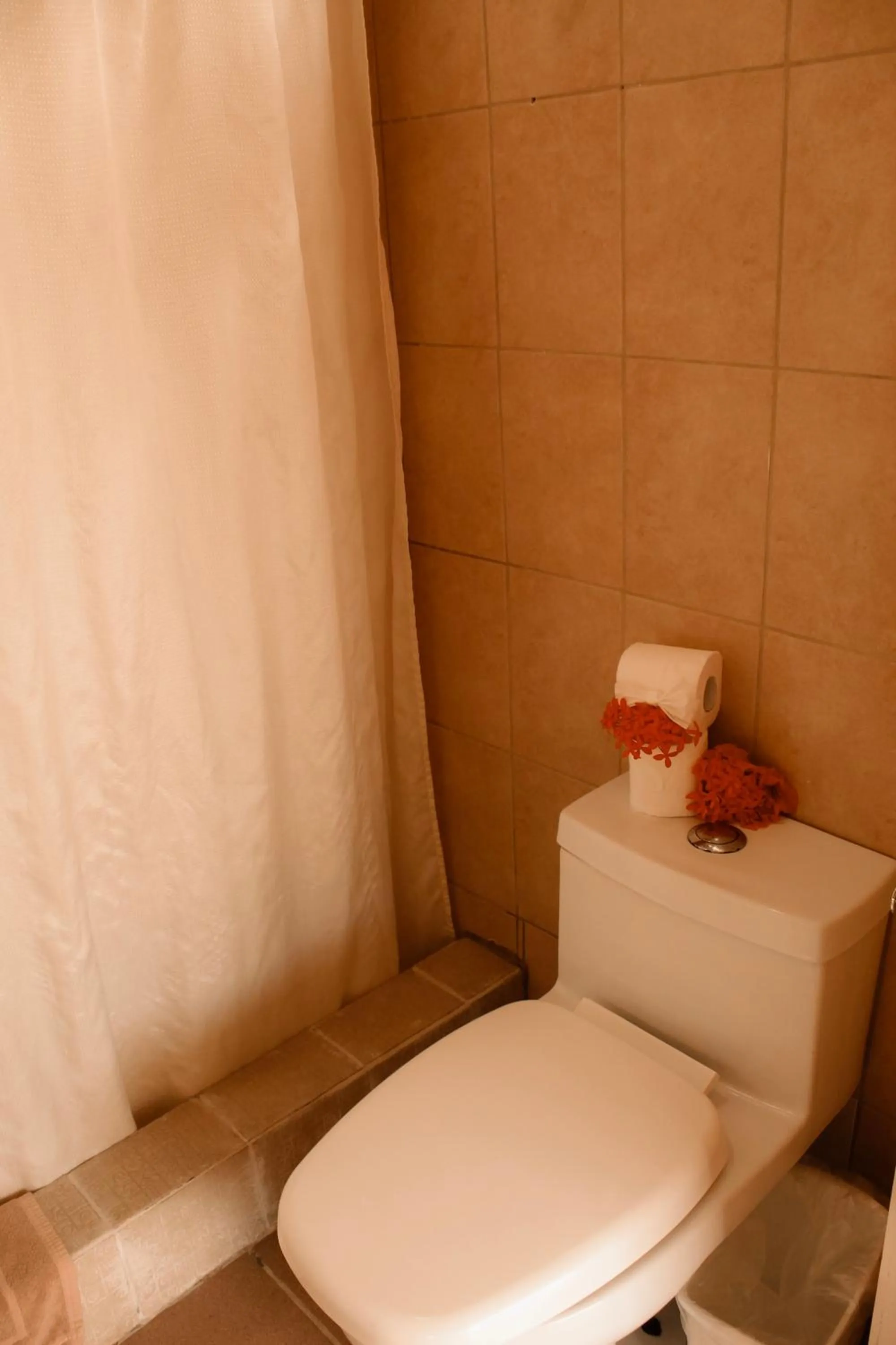 Toilet in Tropical Paradise