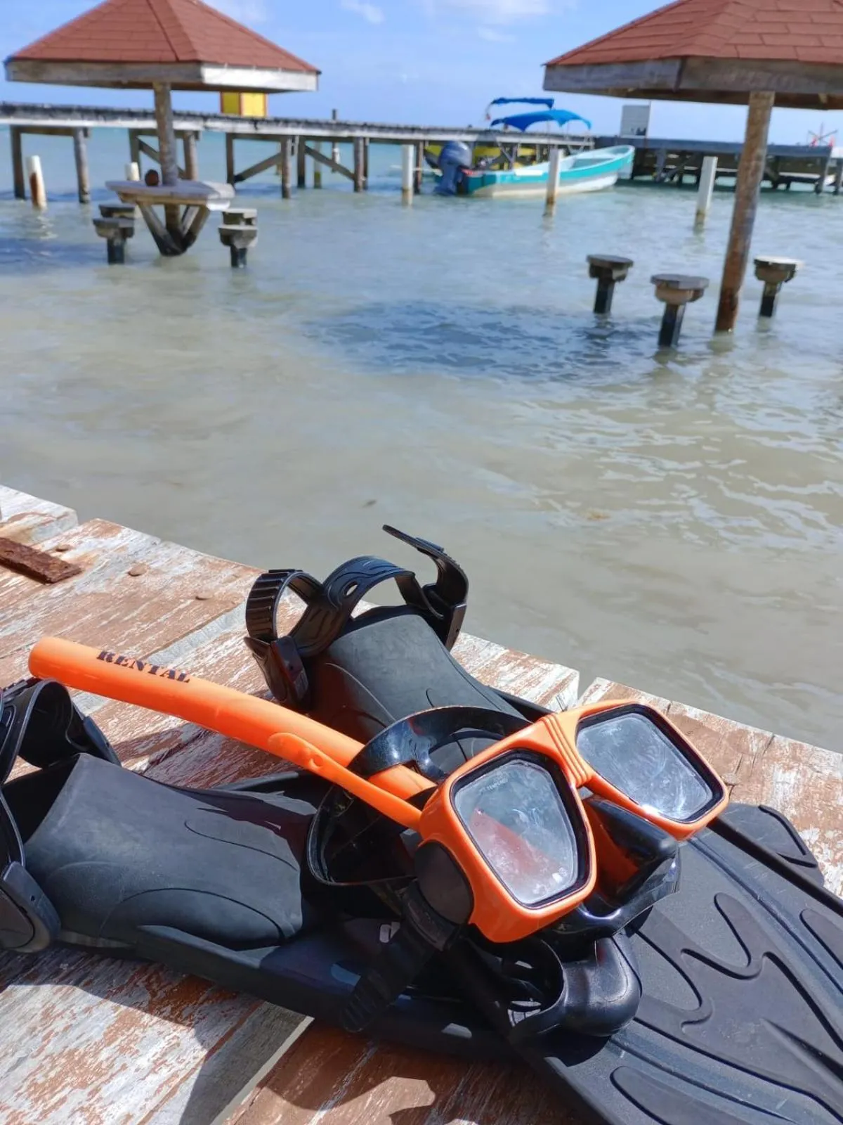 Activities in Tropical Paradise