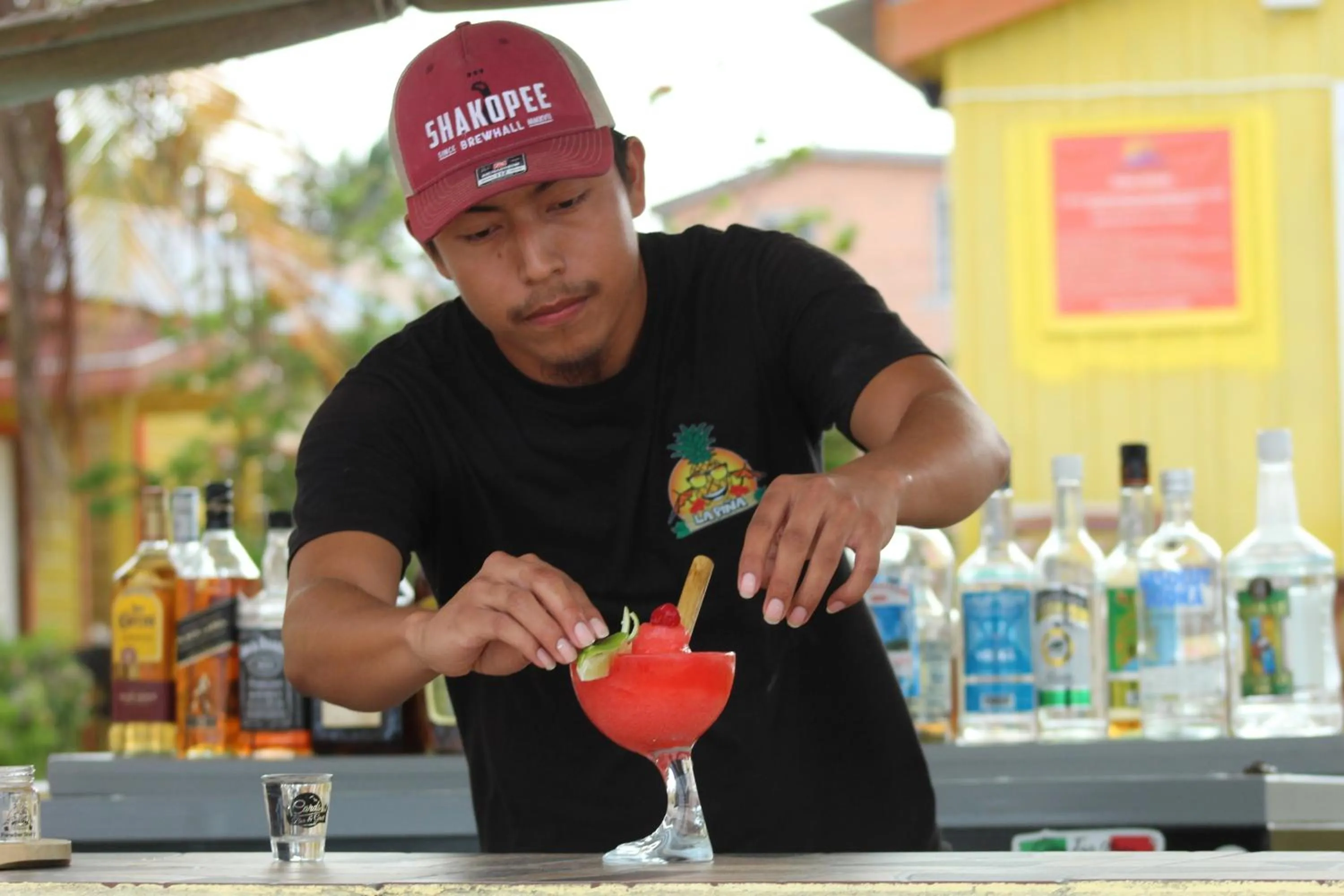 Lounge or bar in Tropical Paradise