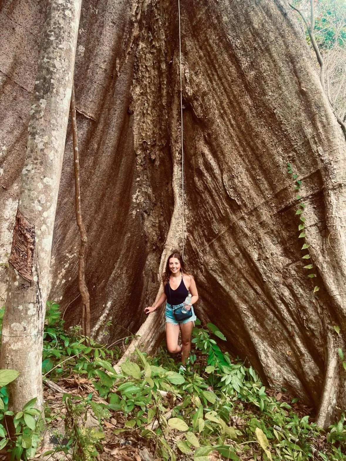 Koh Mook Mountain view