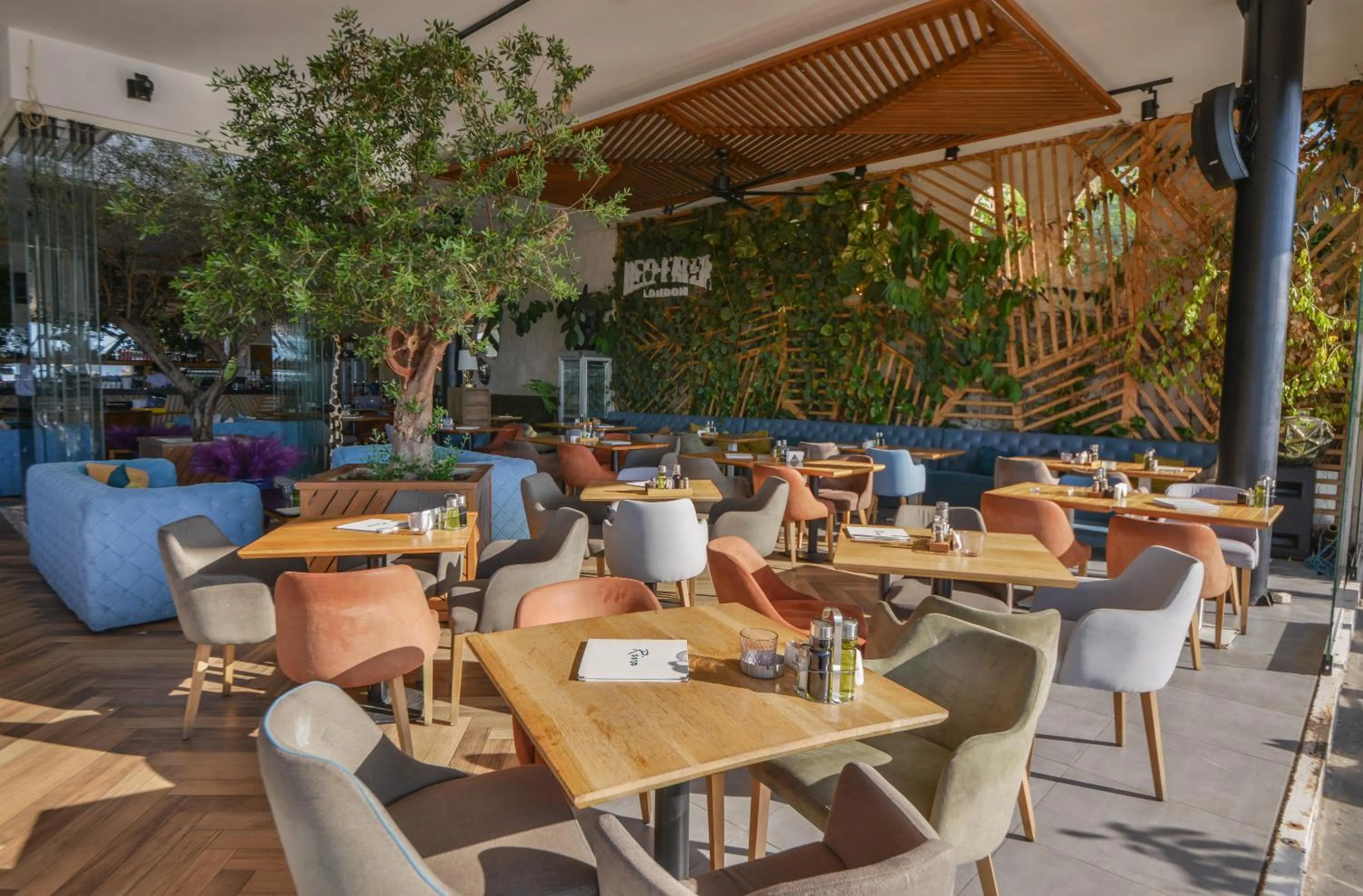 Restaurant/places to eat in Hotel Riva