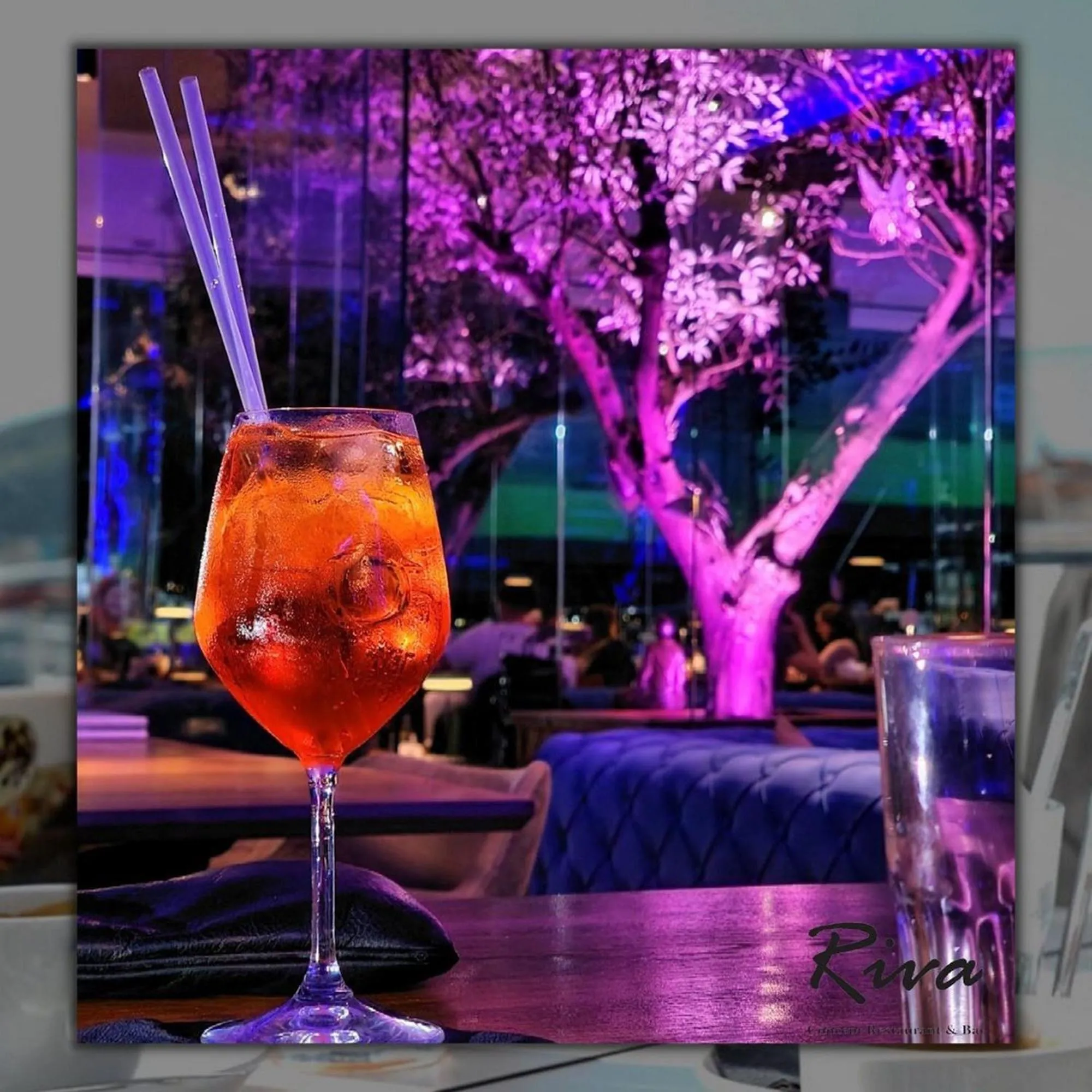 Restaurant/places to eat in Hotel Riva