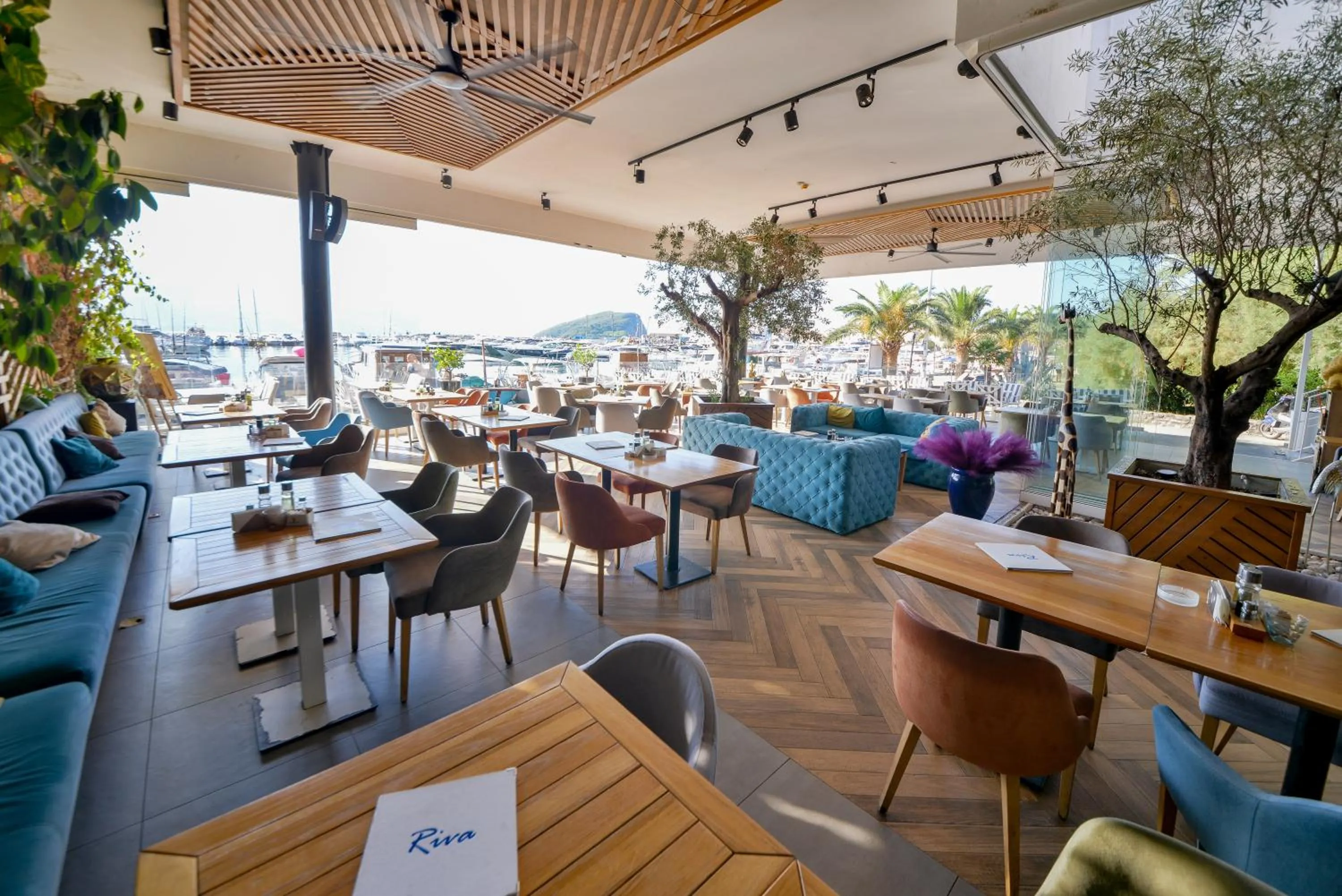 Restaurant/places to eat in Hotel Riva