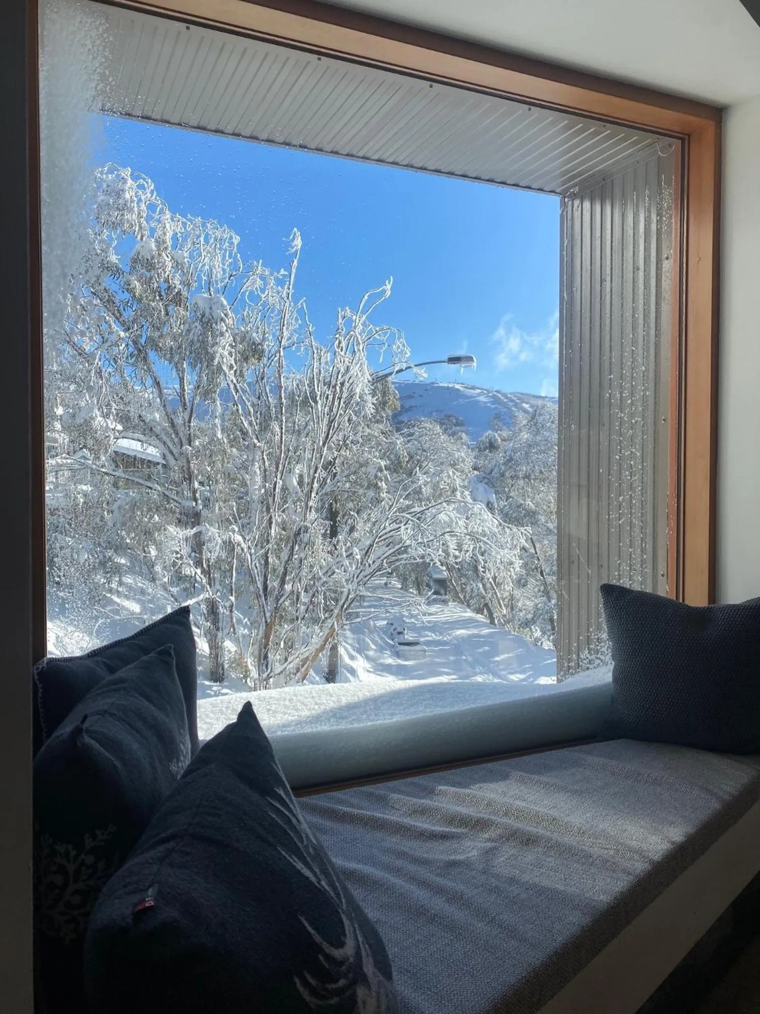 Winter in Alpine Woodsmoke Apartments