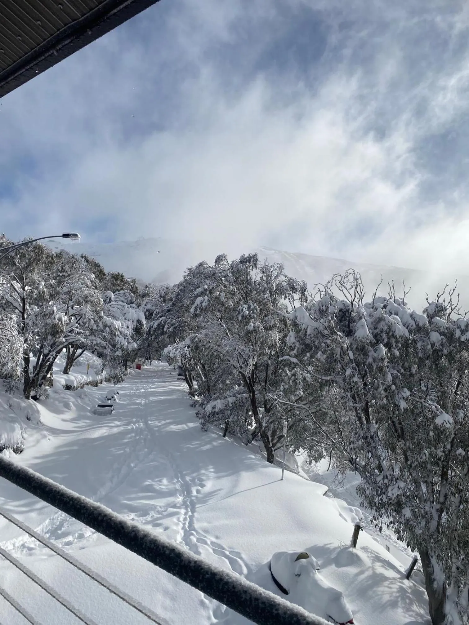 Winter in Alpine Woodsmoke Apartments