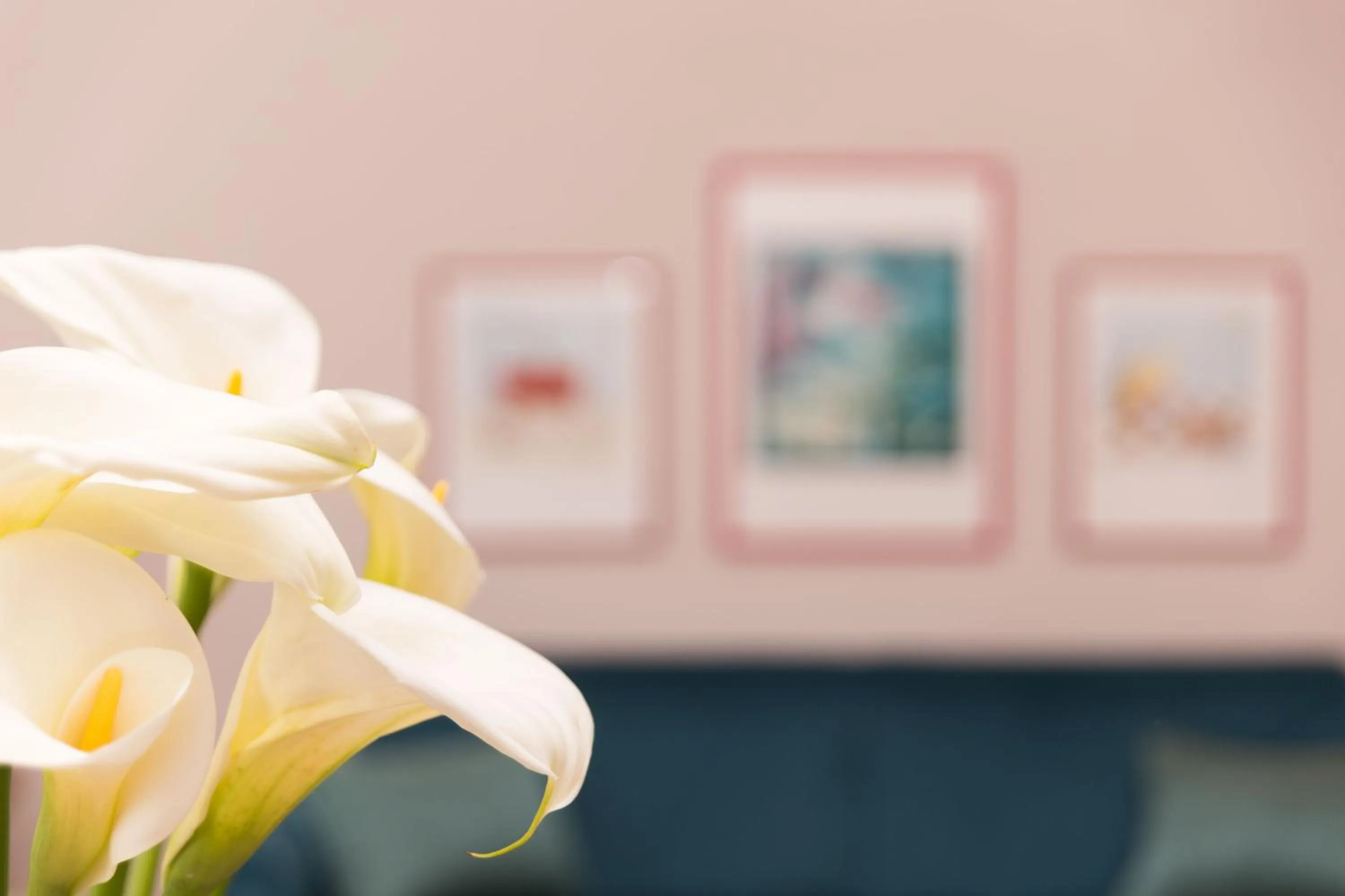 Decorative detail in Palazzo Alfani - Residenza d'Epoca