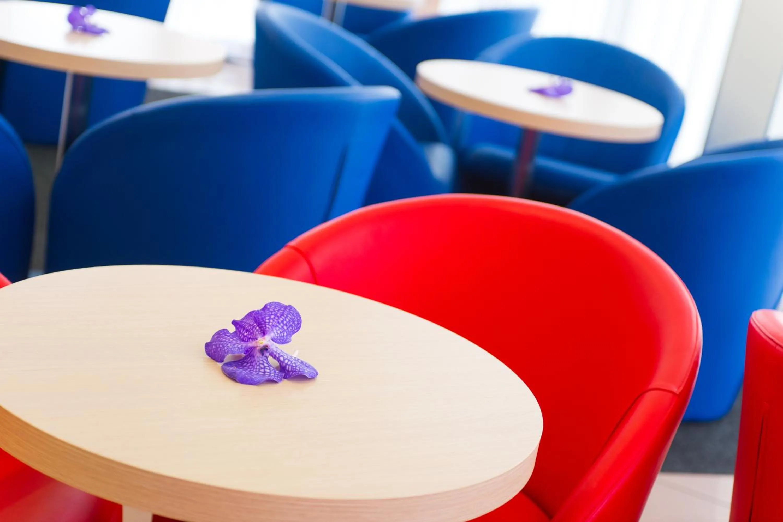 Lobby or reception in Hotel Villa Argia Rimini Marina Centro