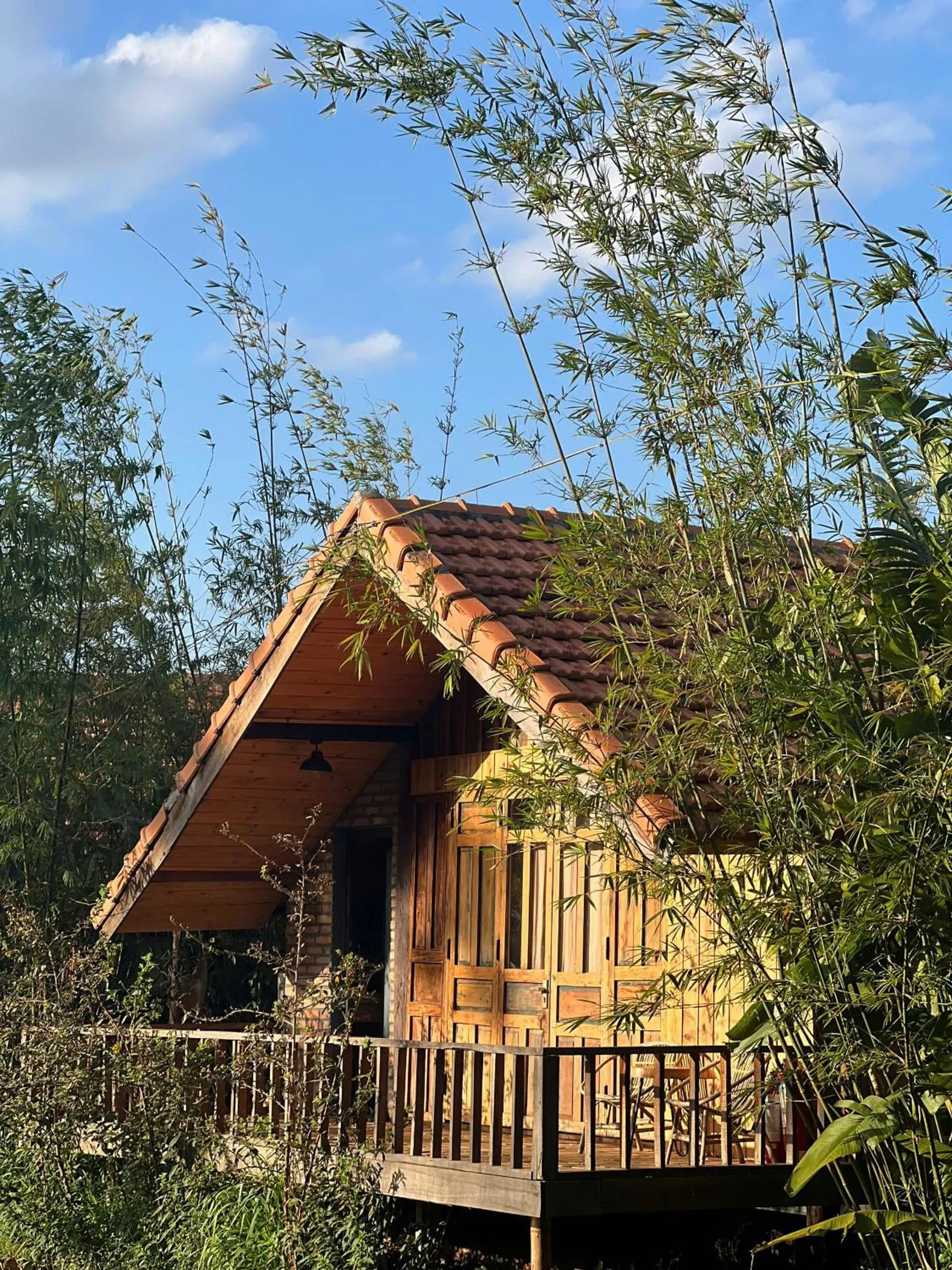 View (from property/room) in Mộc An Nhiên Farmstay
