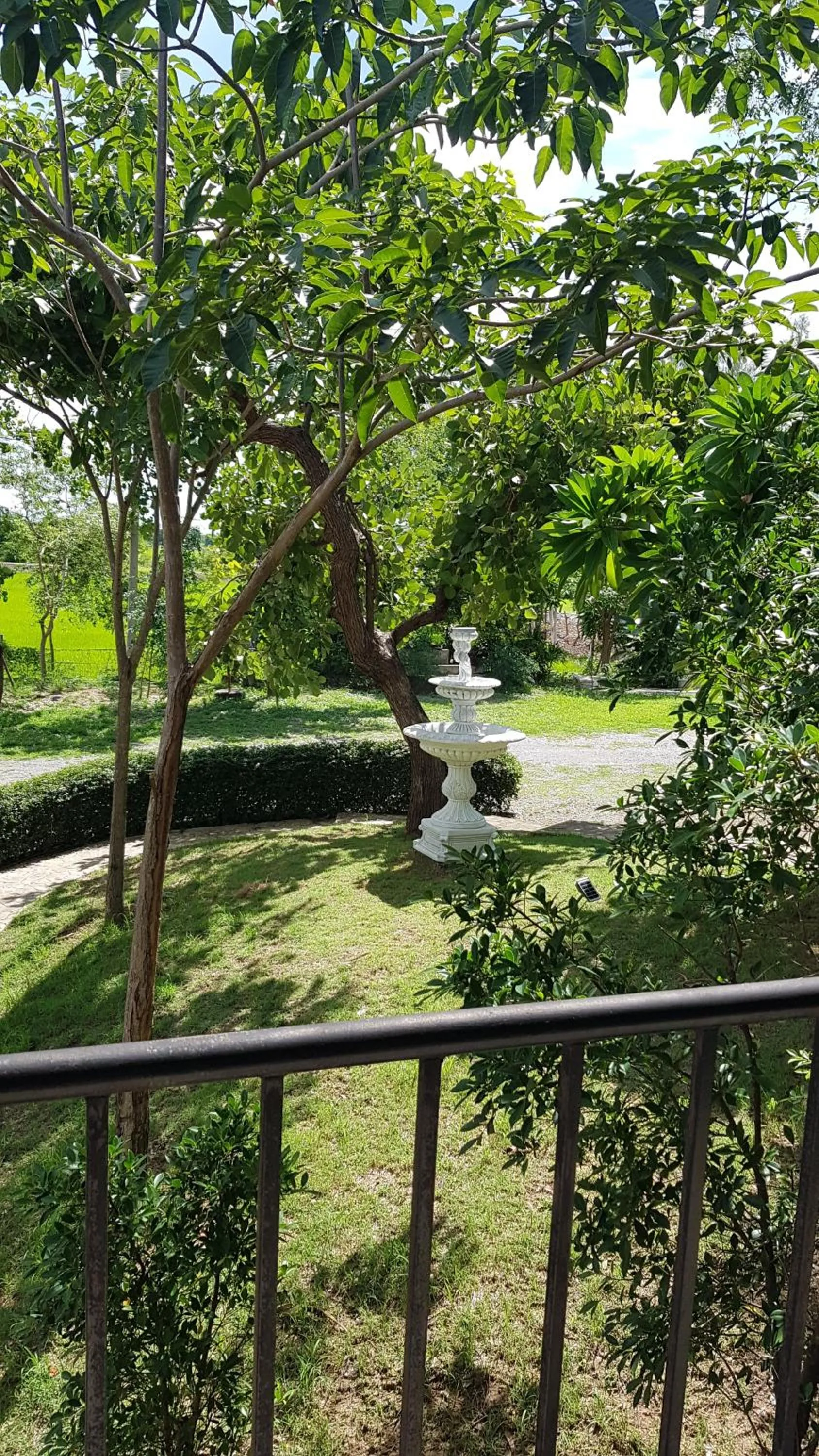 ที รีสอร์ท T Resort Suphanburi