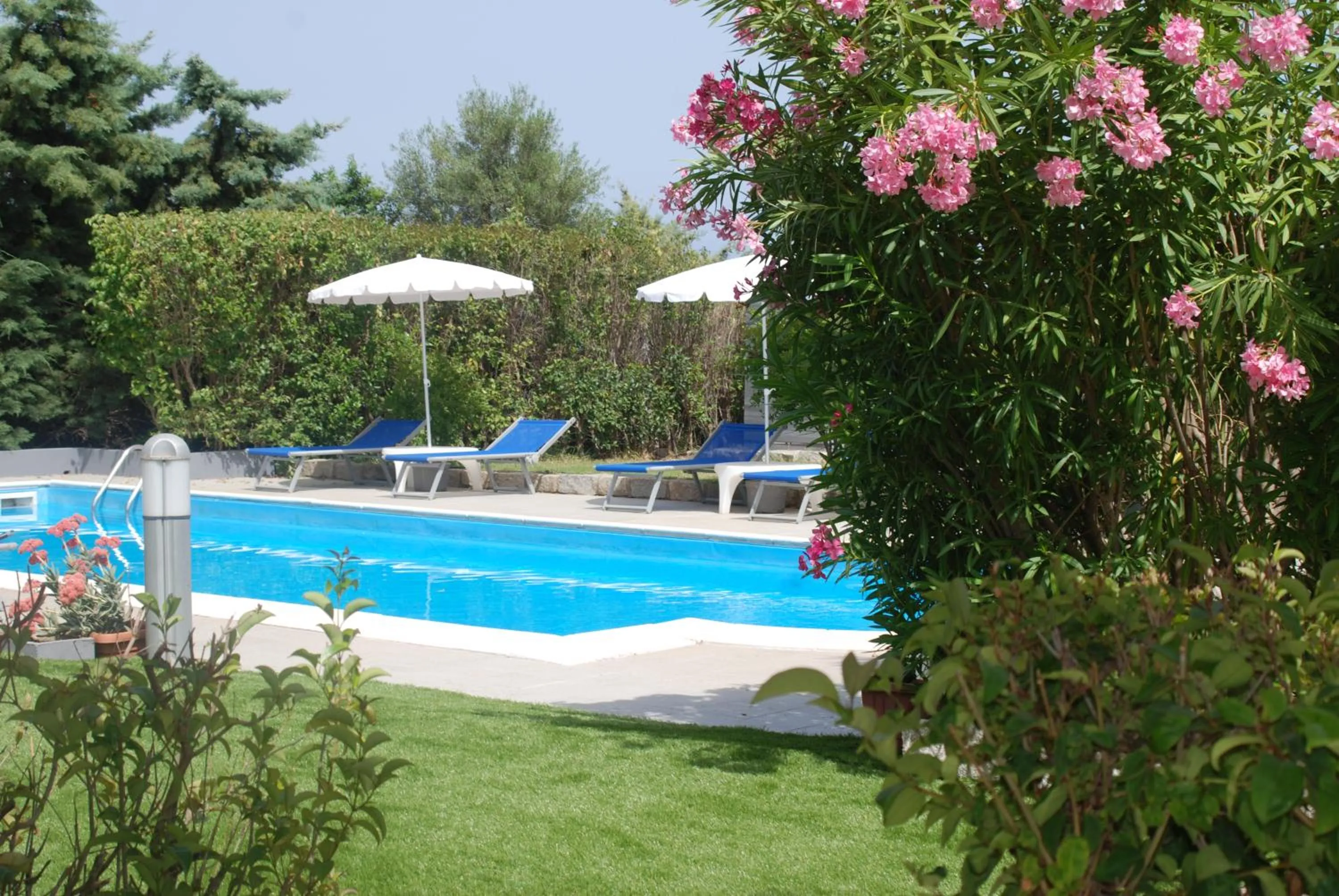 Swimming pool in Natur Hotel Tanca