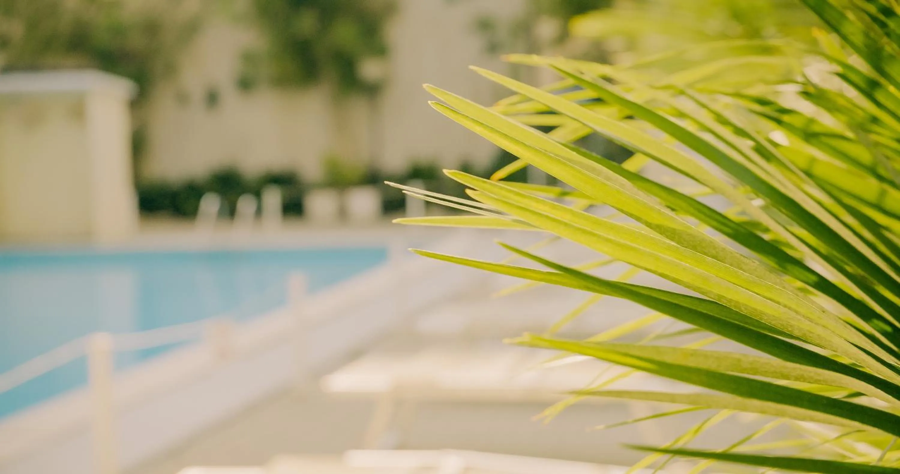Pool view in Hotel Beverly