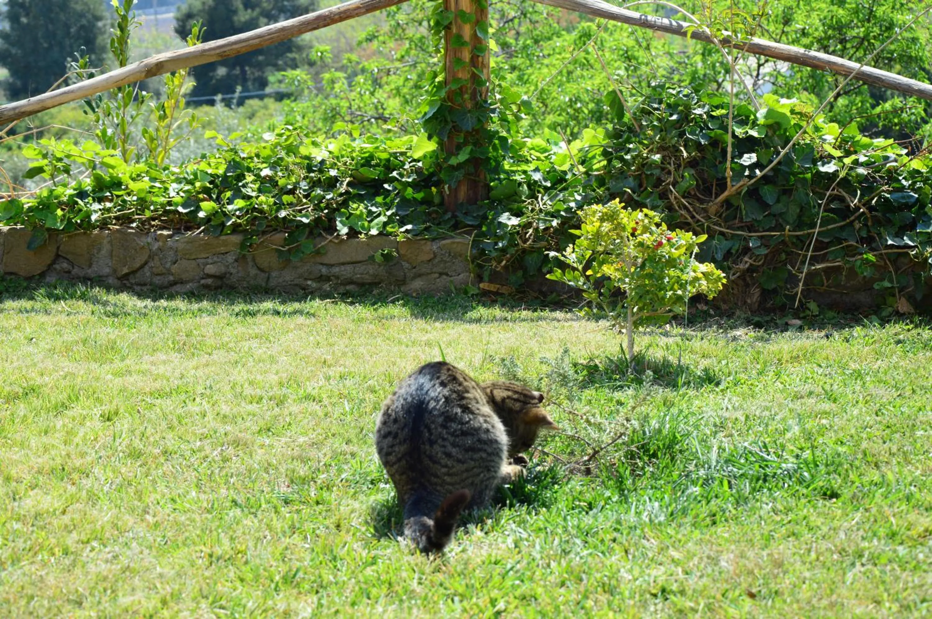 Garden in Antico Borgo Etneo Country Hotel
