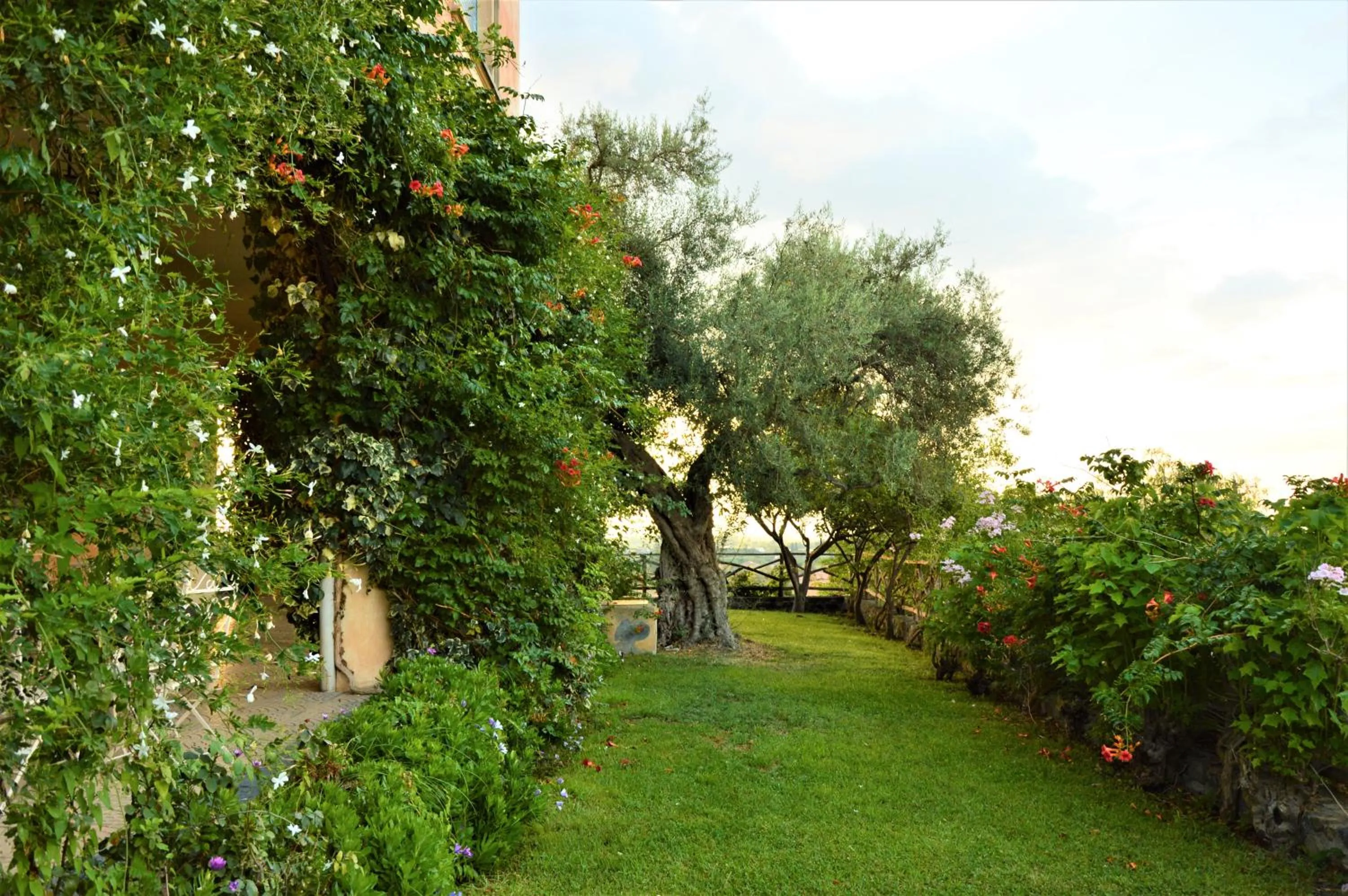 Garden in Antico Borgo Etneo Country Hotel