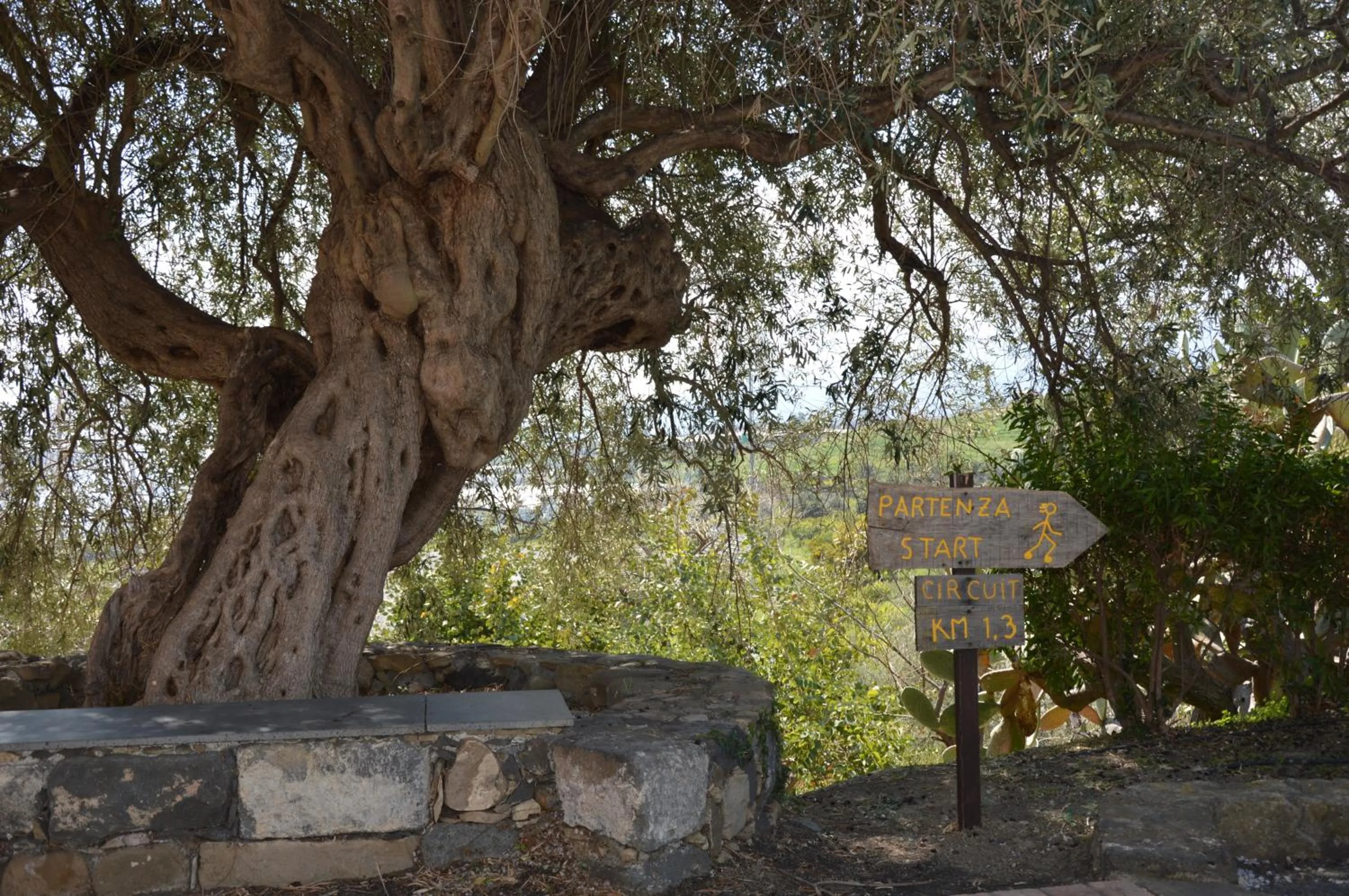 Garden in Antico Borgo Etneo Country Hotel