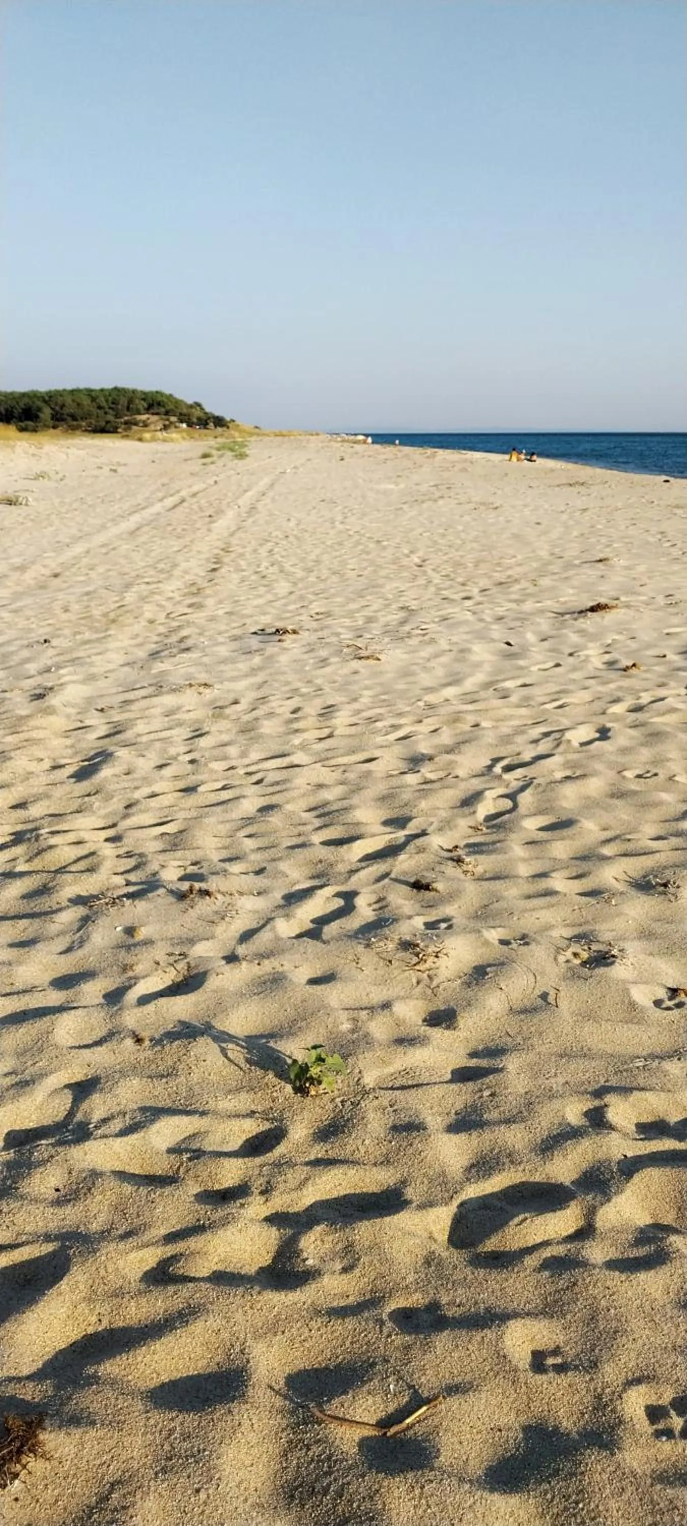 Day in çırpan apart otel