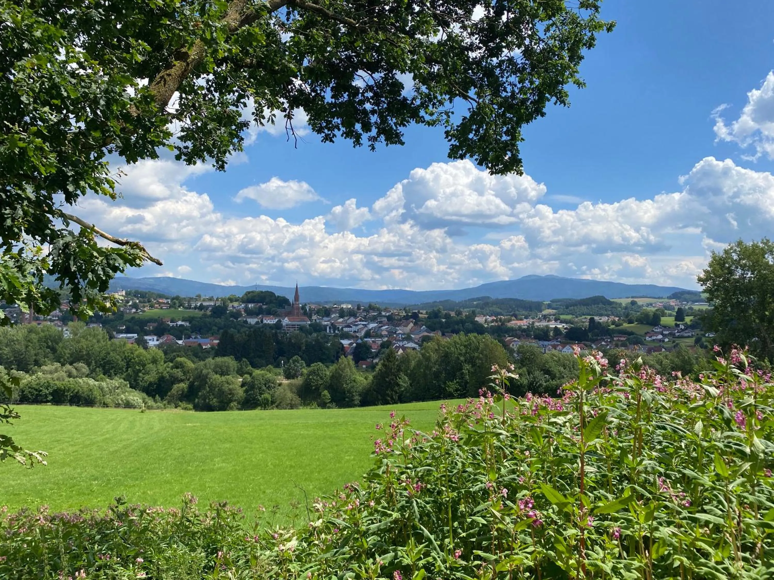 Area and facilities in Hotel Sonnenhof 3-Sterne-Superior