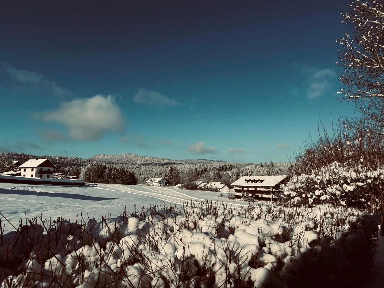 Natural landscape in Hotel Sonnenhof 3-Sterne-Superior