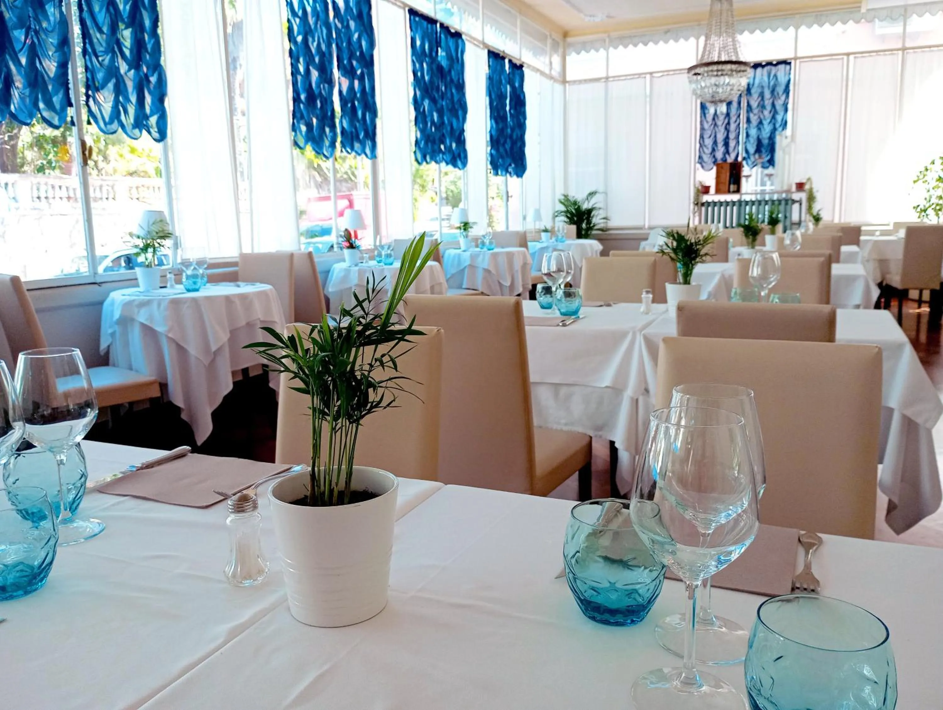 Restaurant/places to eat in Hotel Morandi