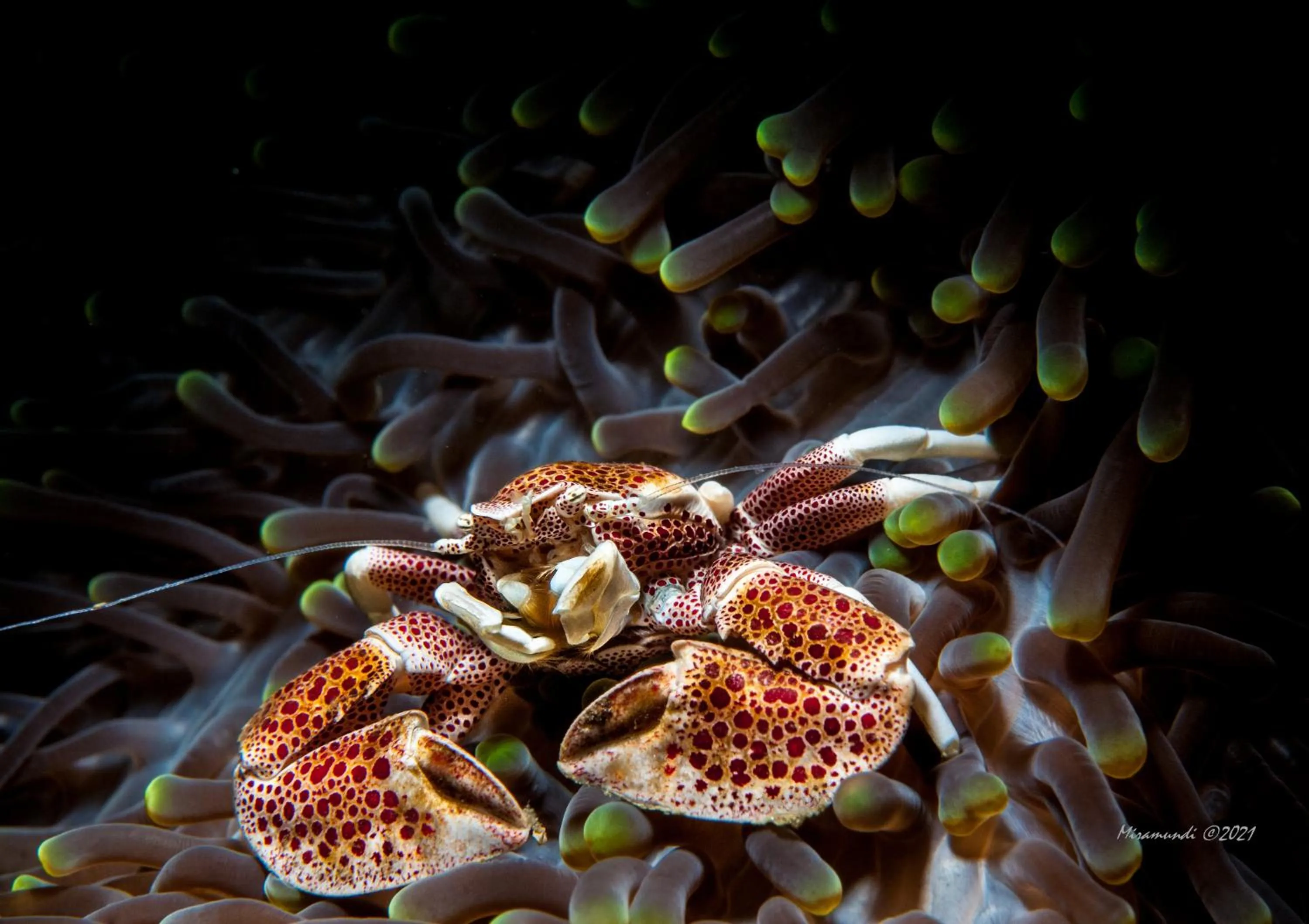 Diving in Casalay Boutique Villas & Dive