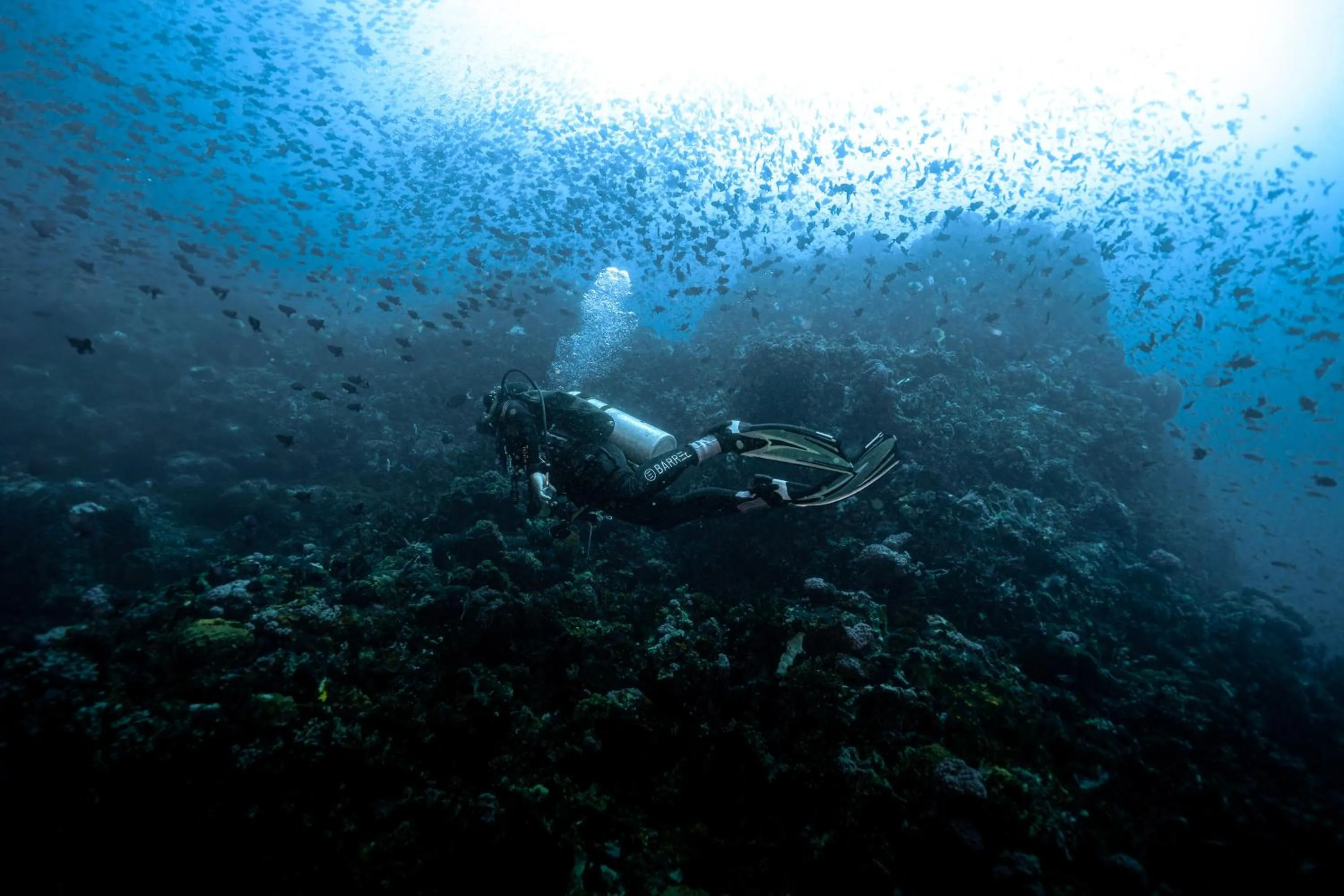 Natural landscape in Casalay Boutique Villas & Dive