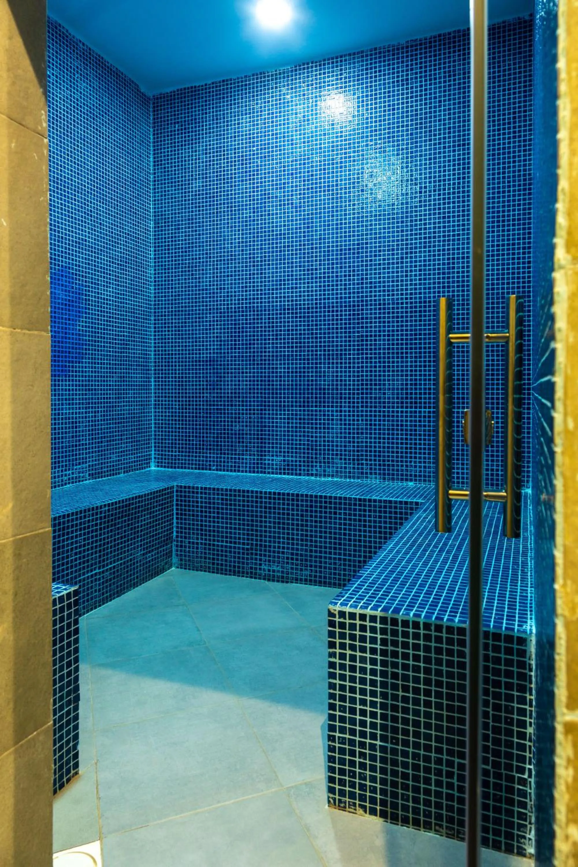 Sauna in Aya Sophia Villa Garden Hotel