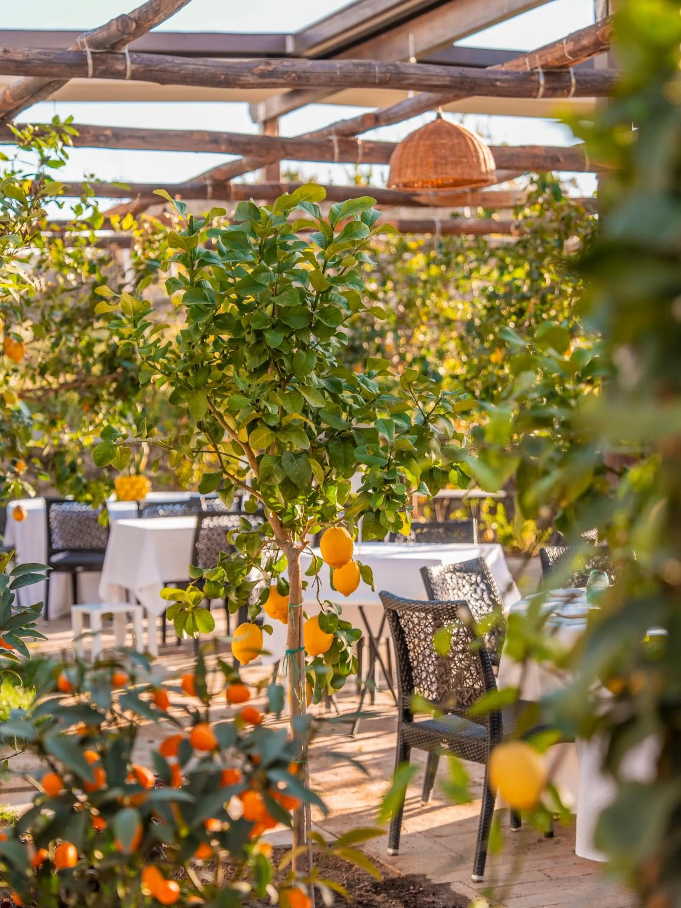 Restaurant/places to eat in Boutique Hotel Casa Mariantonia