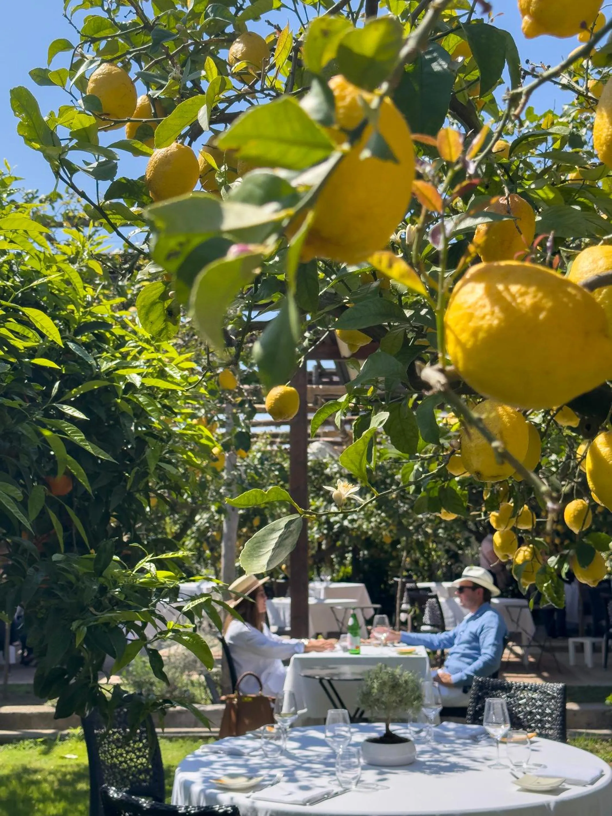 Restaurant/places to eat in Boutique Hotel Casa Mariantonia