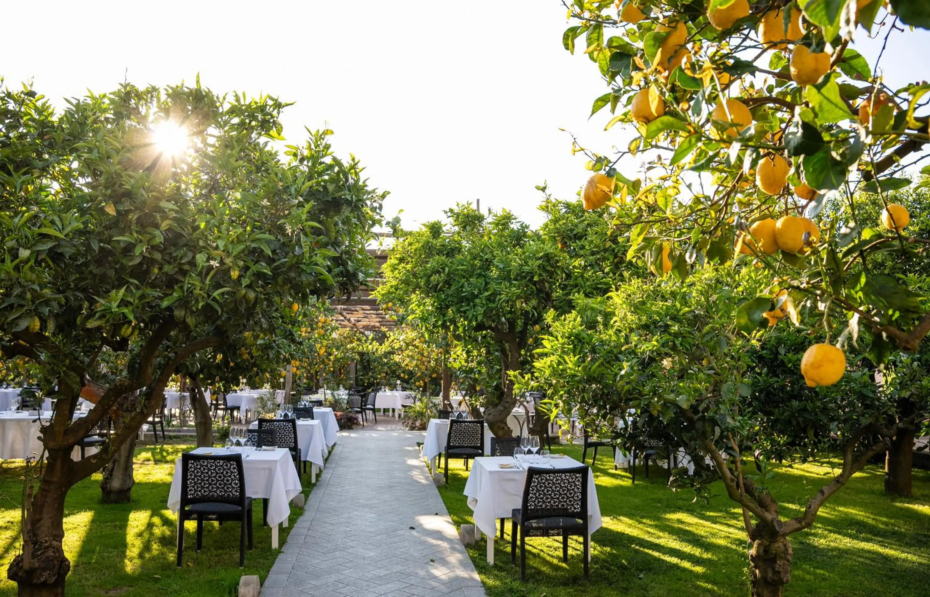 Restaurant/places to eat in Boutique Hotel Casa Mariantonia