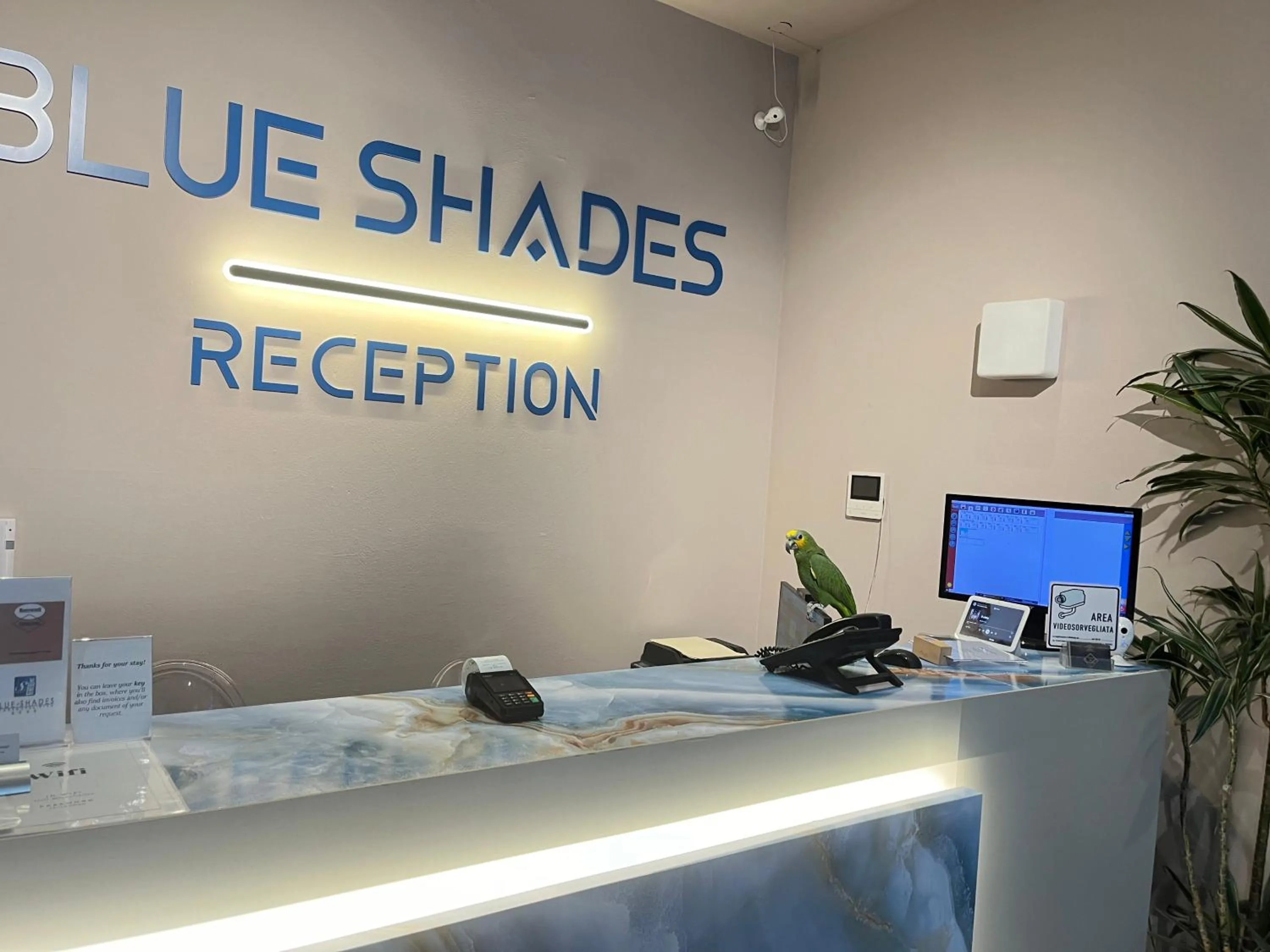 Lobby or reception in Blue Shades Hotel