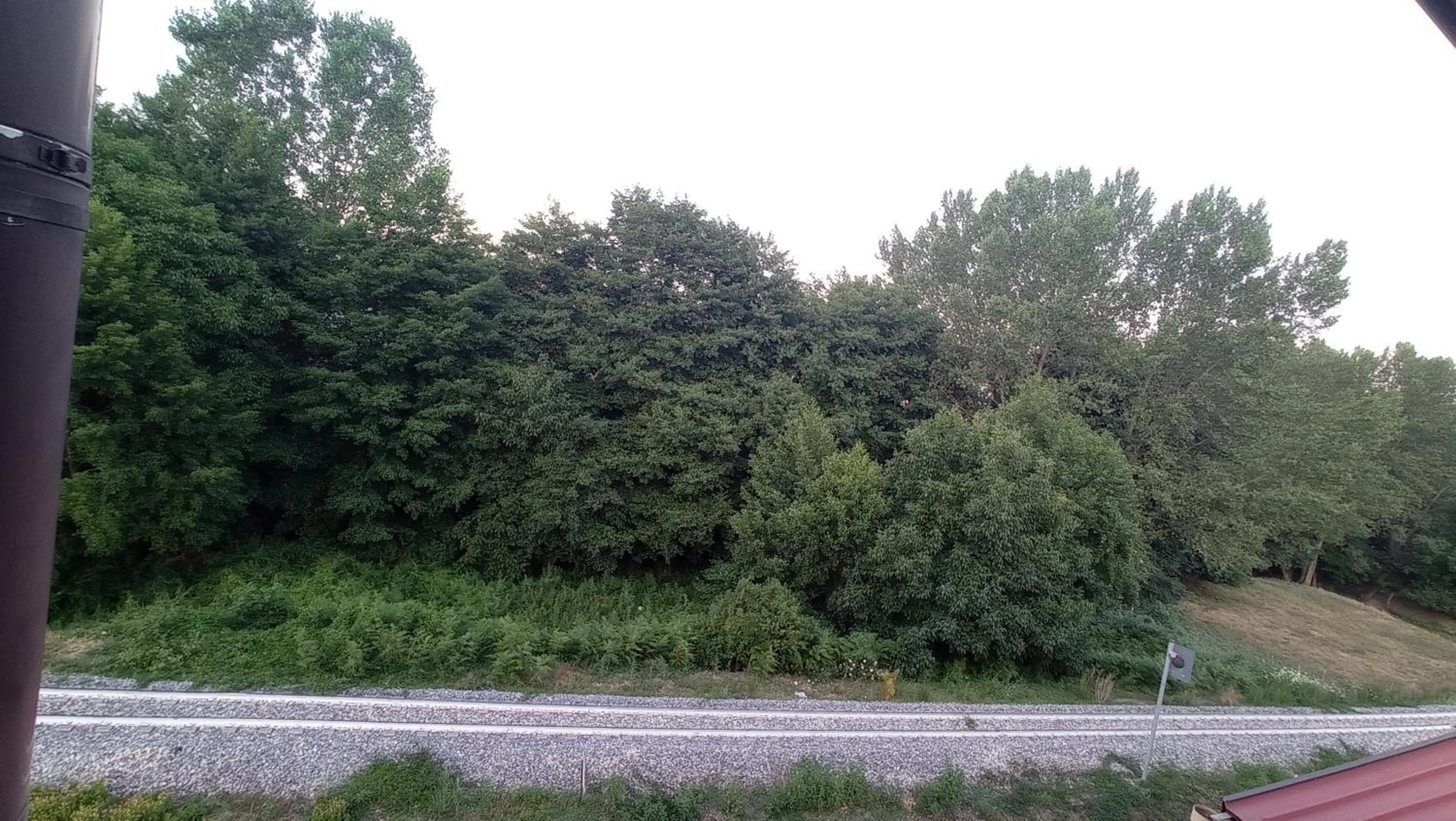 Garden in Hotel Ristorante Caligiuri