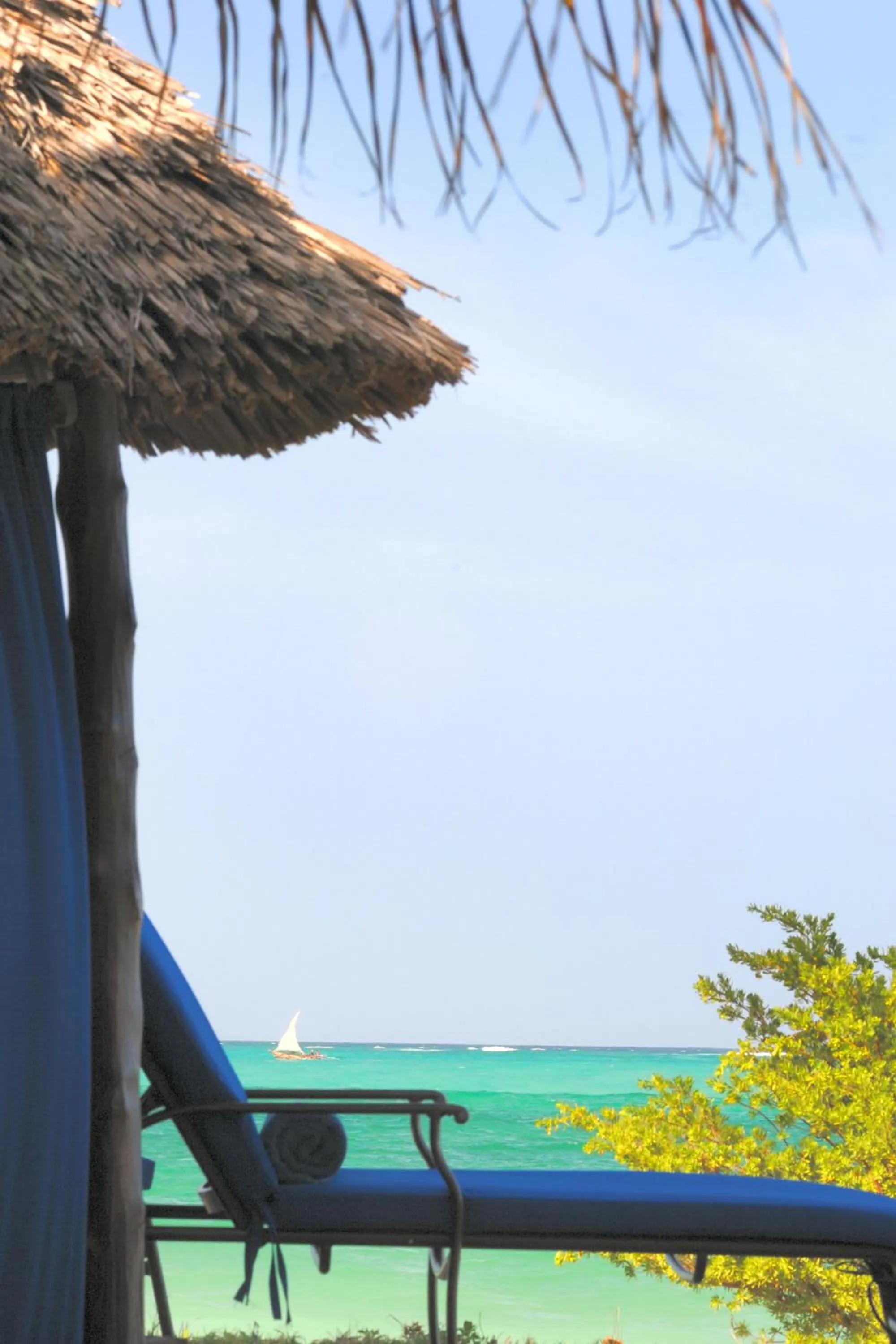 Day in The Palms Zanzibar