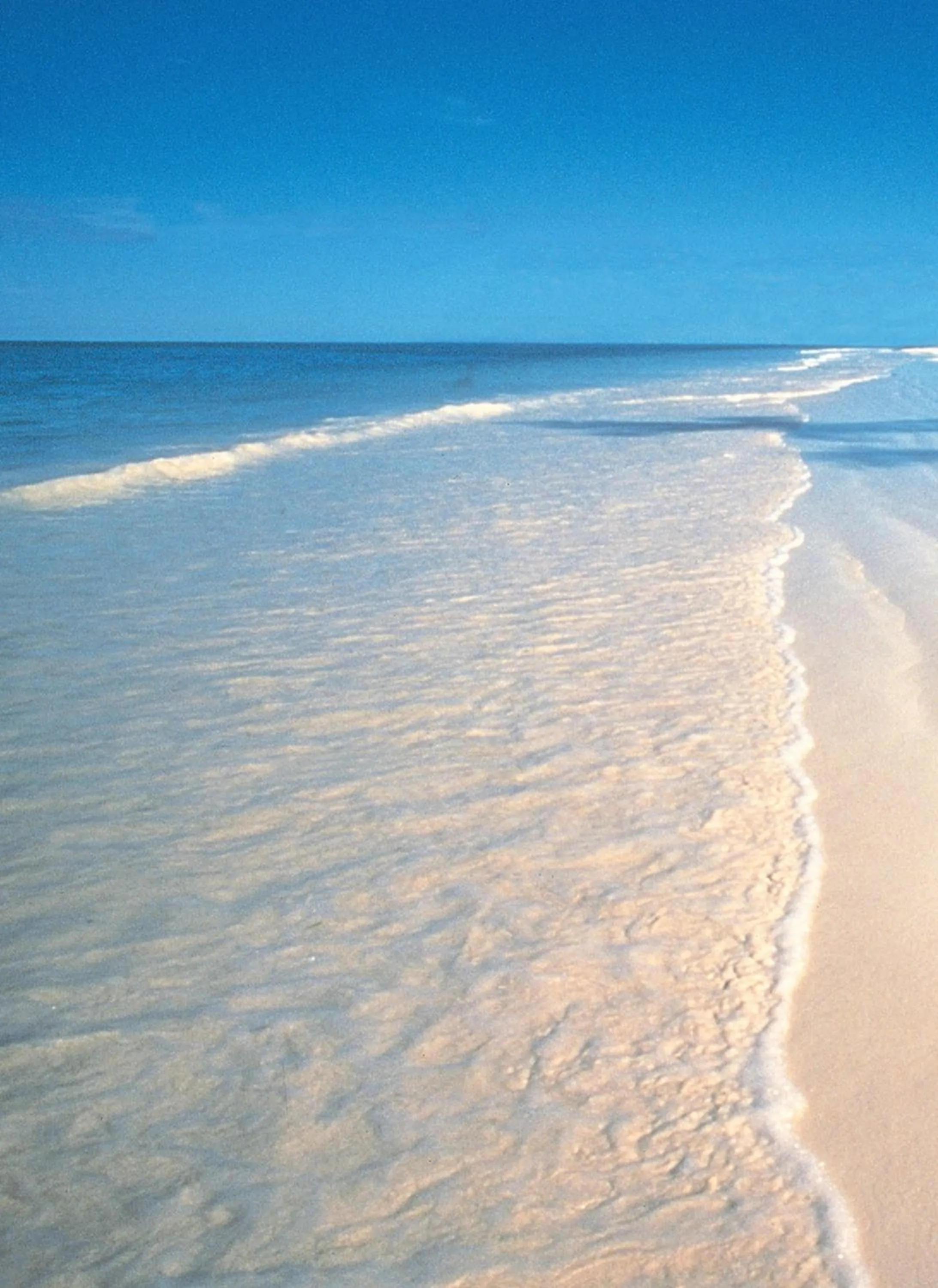 Day in The Palms Zanzibar