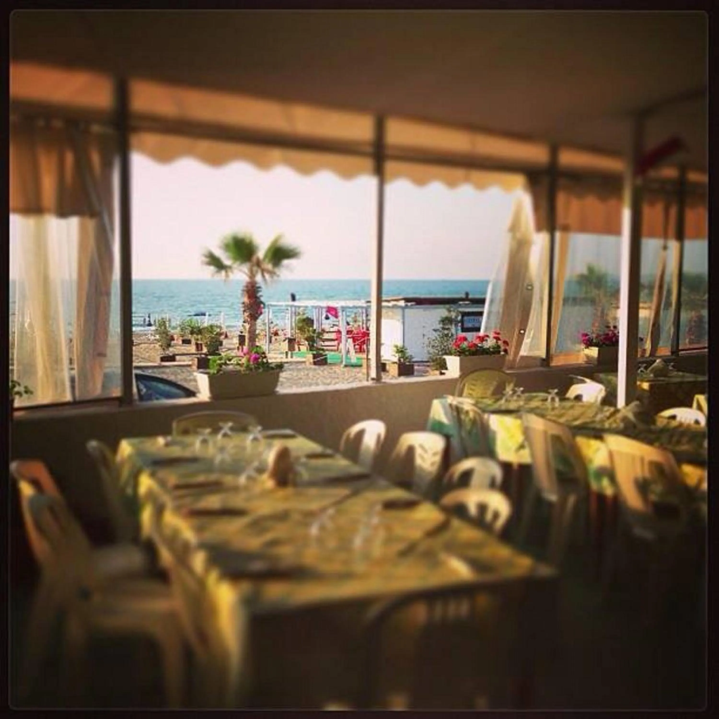 Restaurant/places to eat in Case Playa