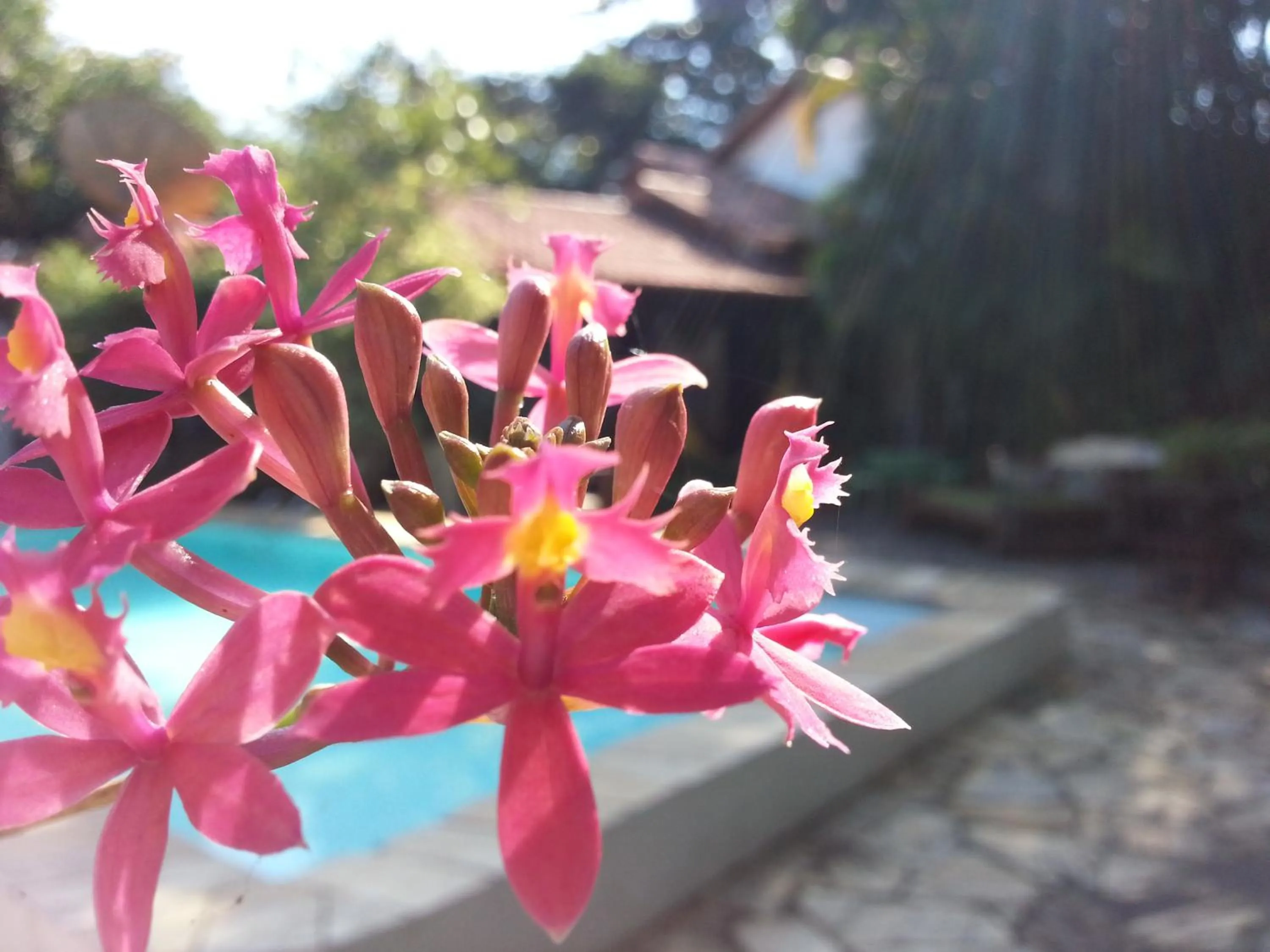 Spring in Pousada Alicia