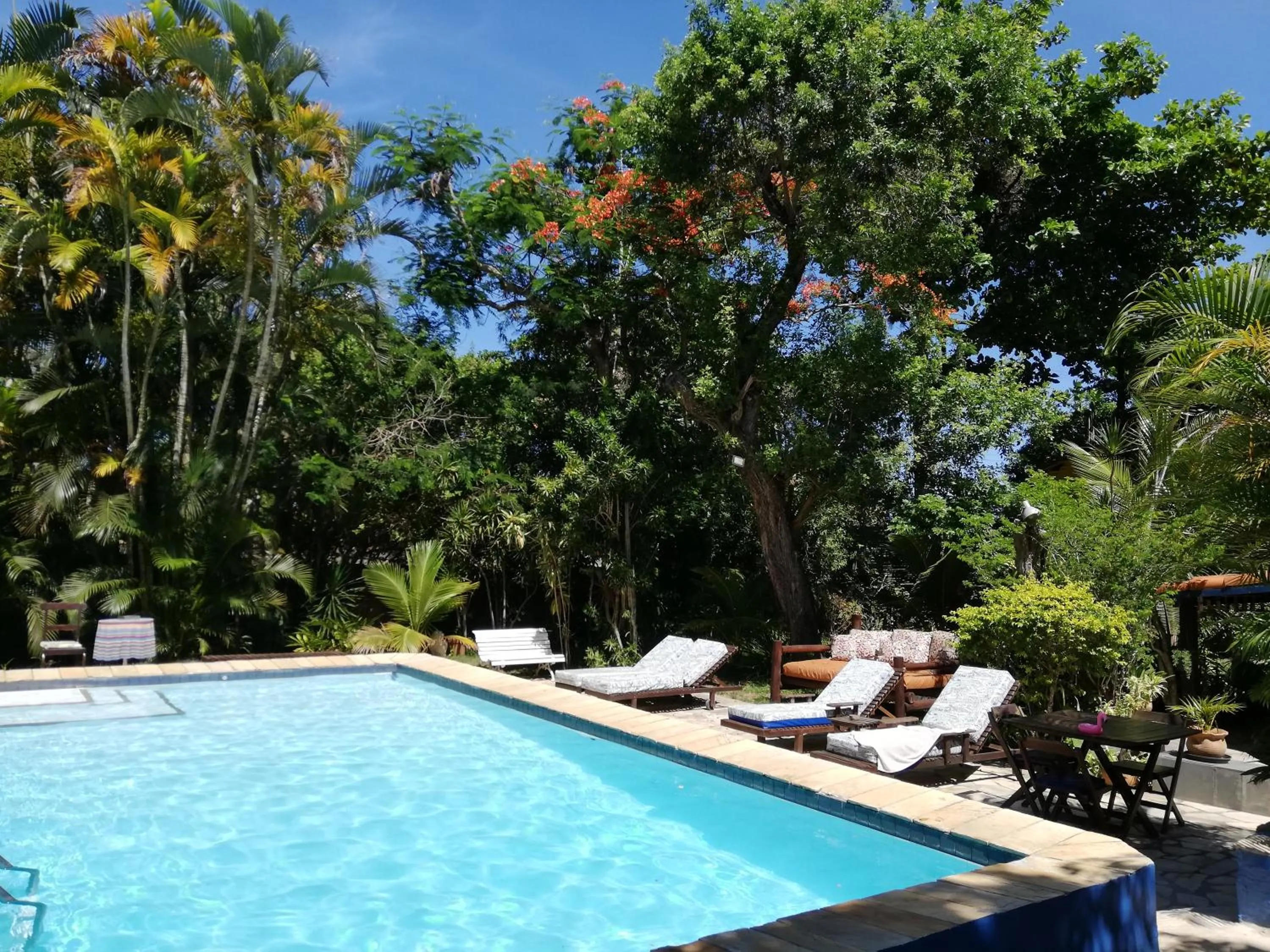 Garden view in Pousada Alicia