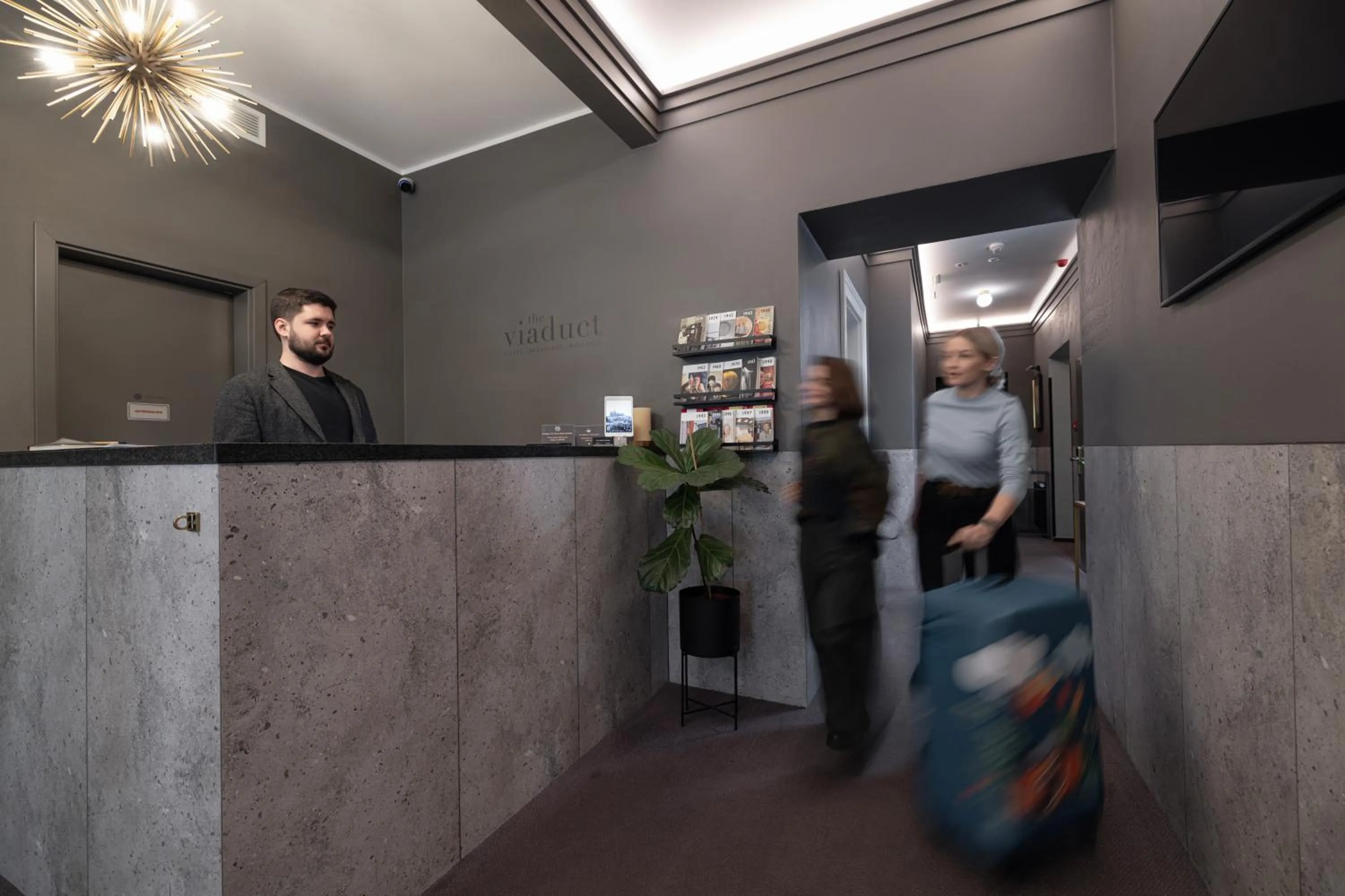 Staff in The Viaduct - Suites & More