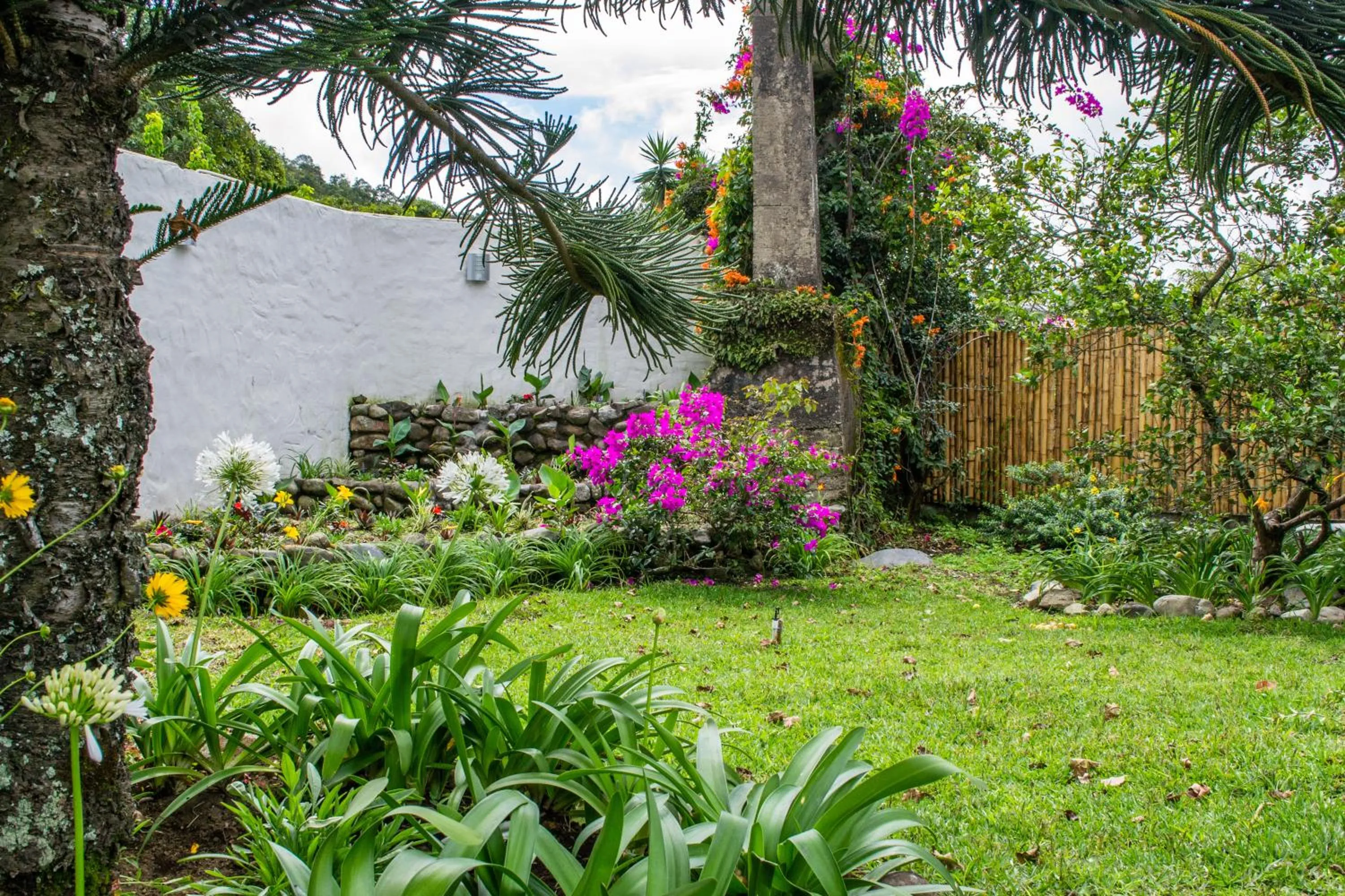 Garden in Downtown Suites