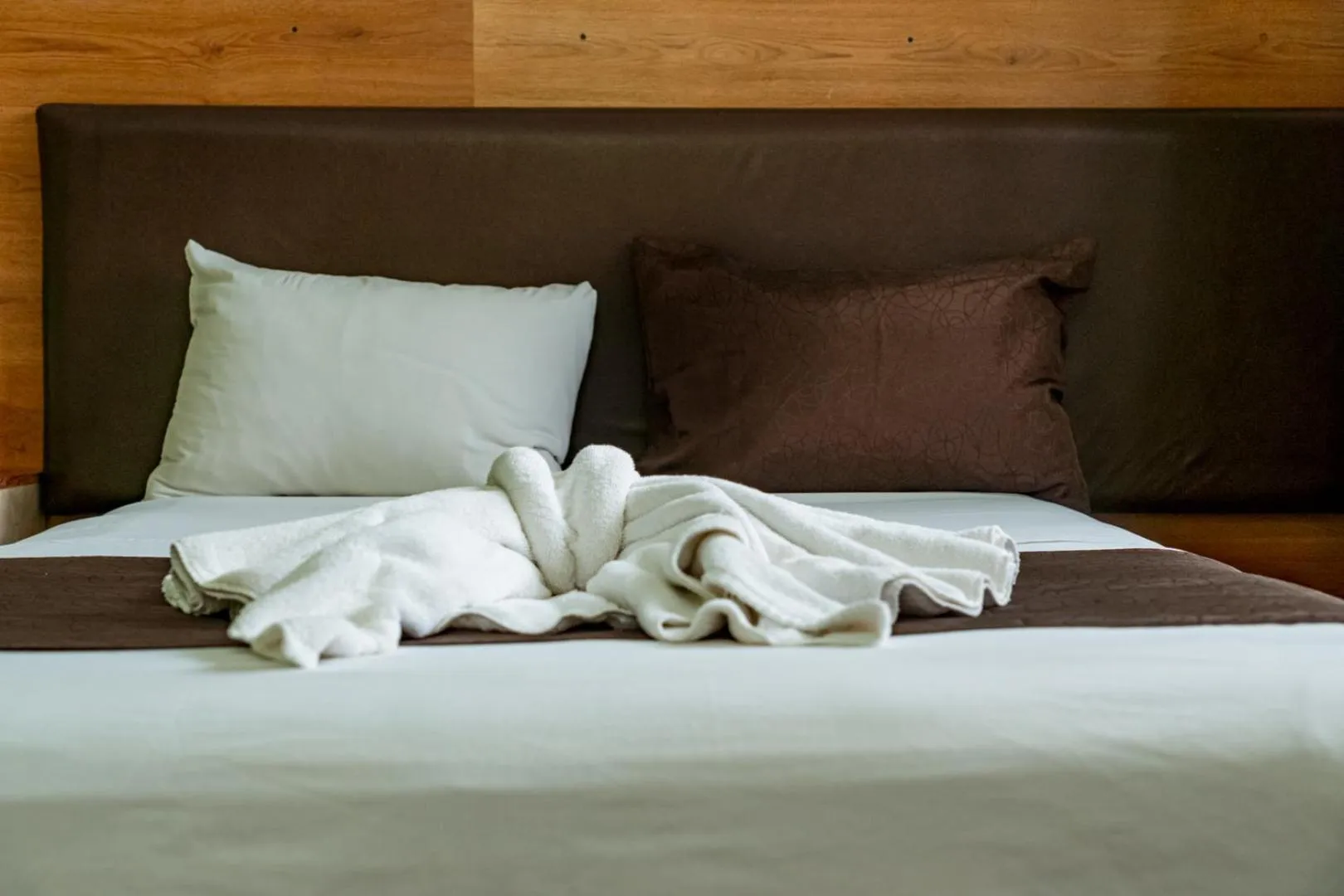 Bed in Hotel Cañada Internacional